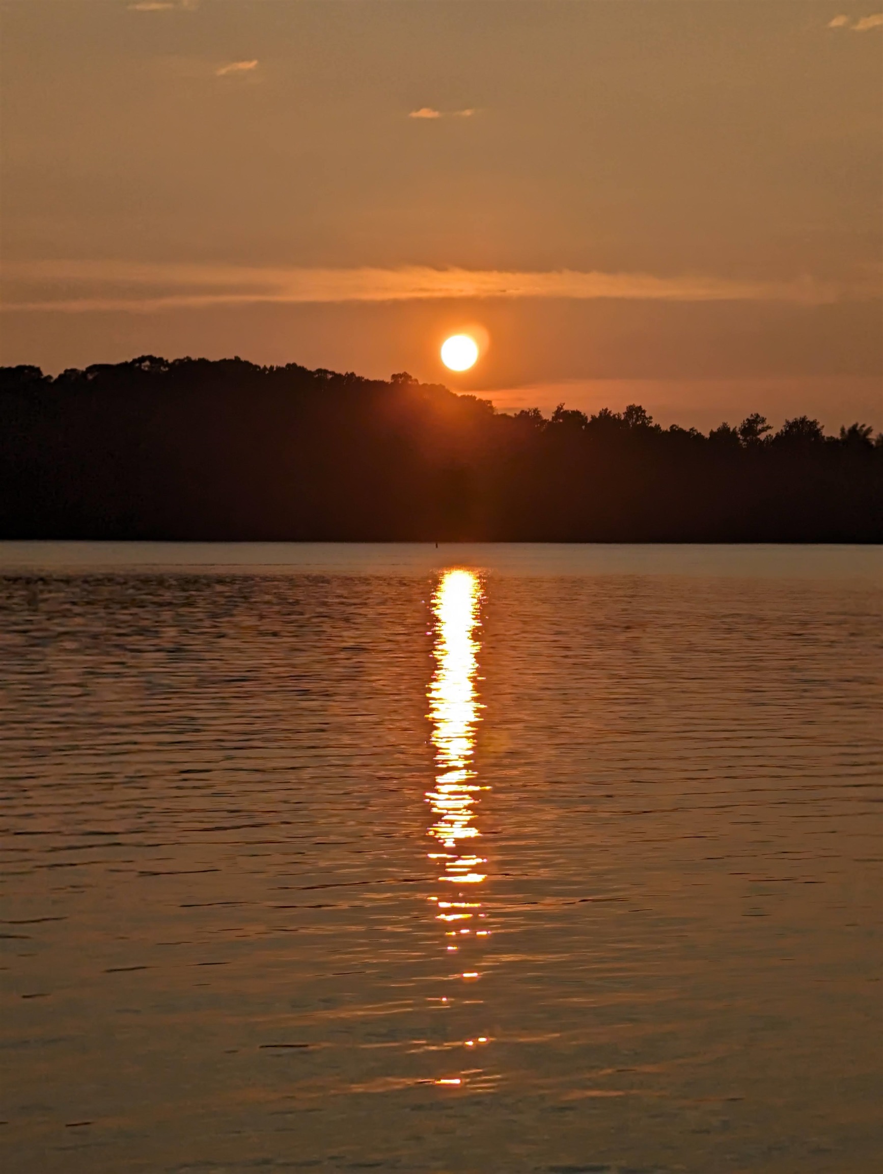 1011 LULLWATER COURT