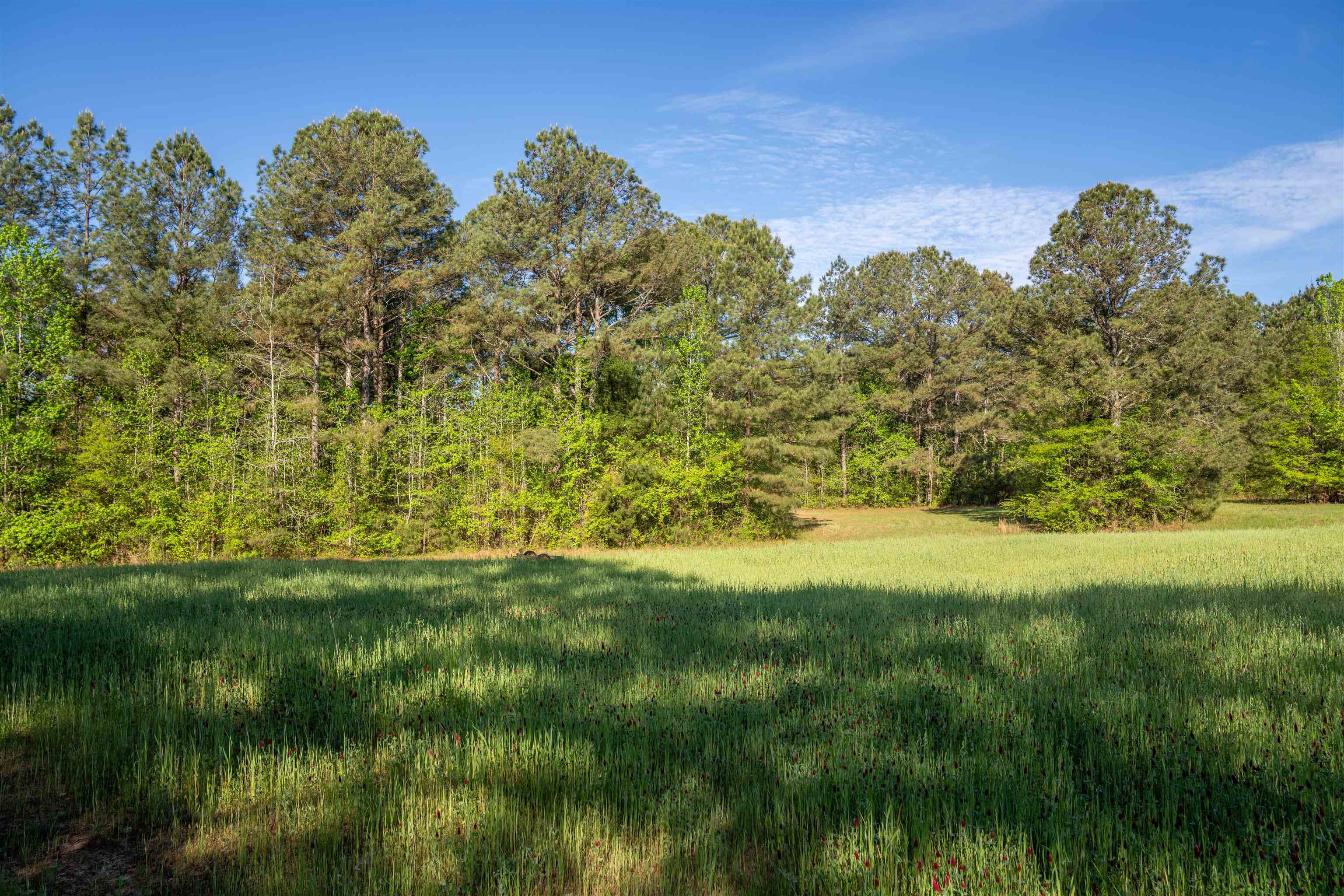 2711 JORDANS MILL RD