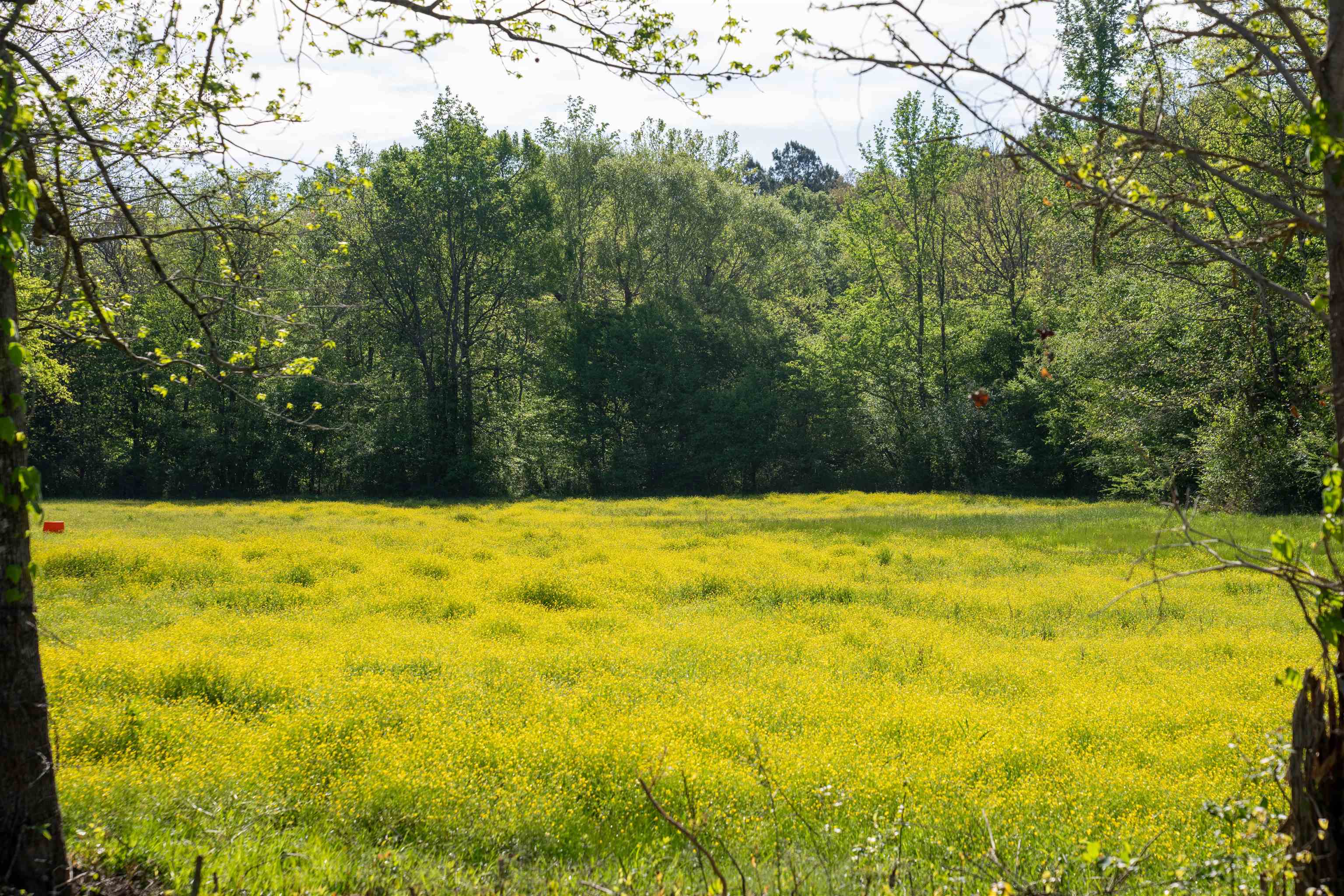 2711 JORDANS MILL RD