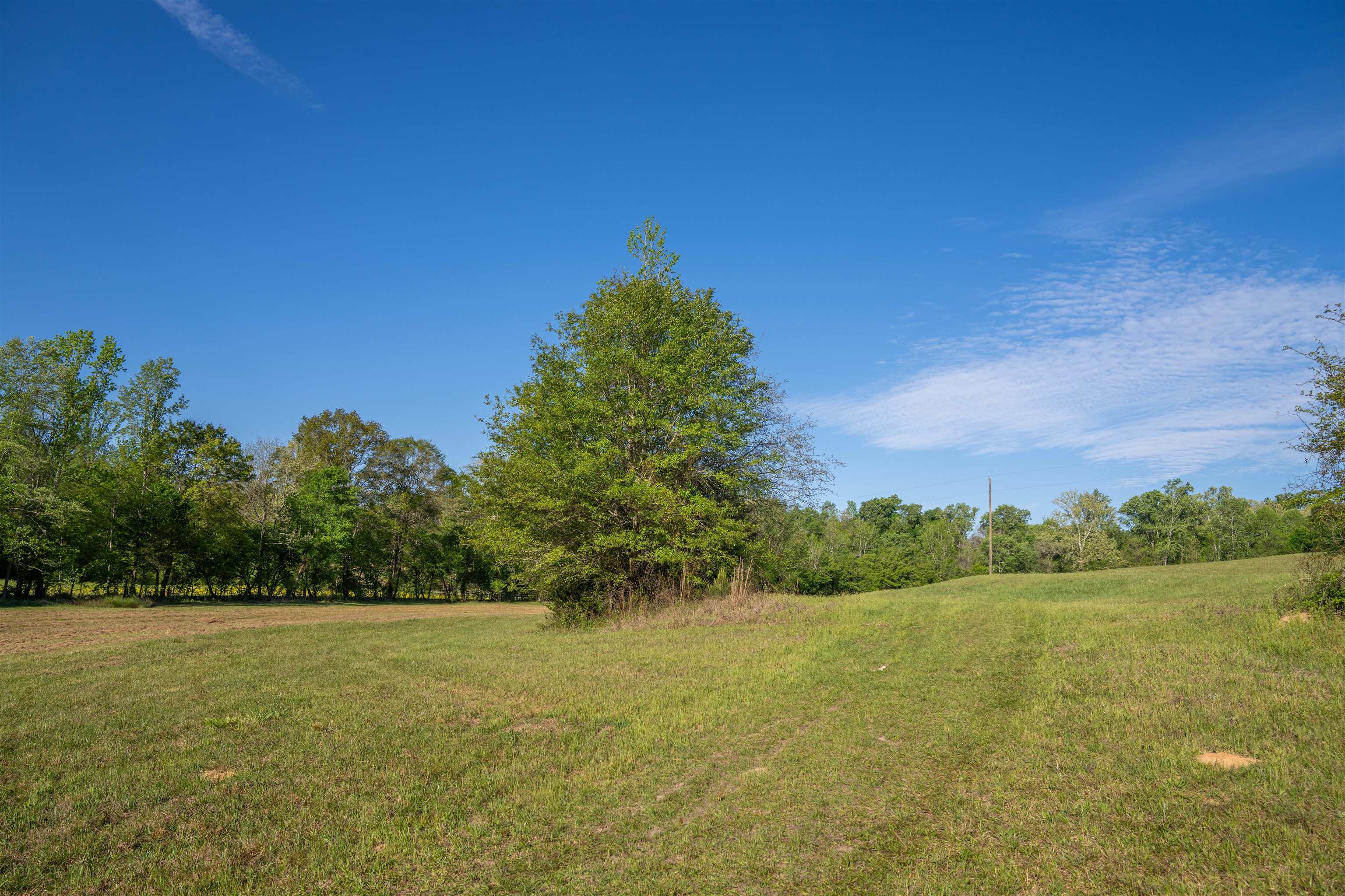 2711 JORDANS MILL RD