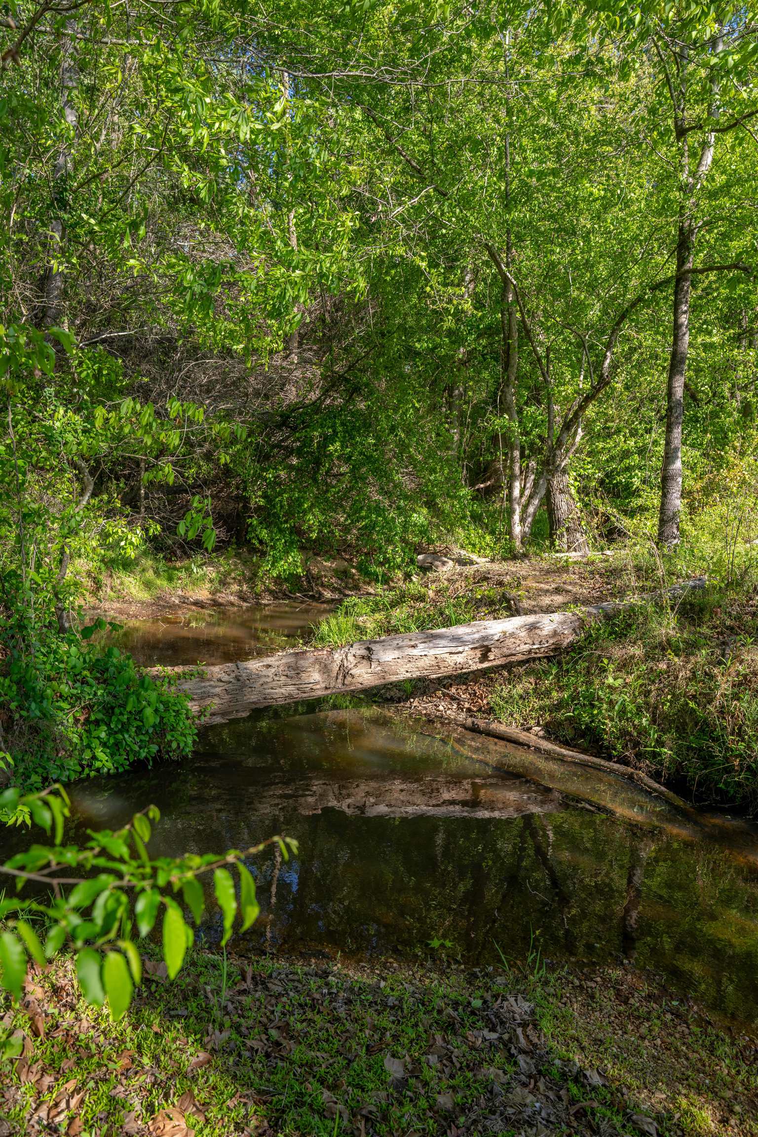 2711 JORDANS MILL RD