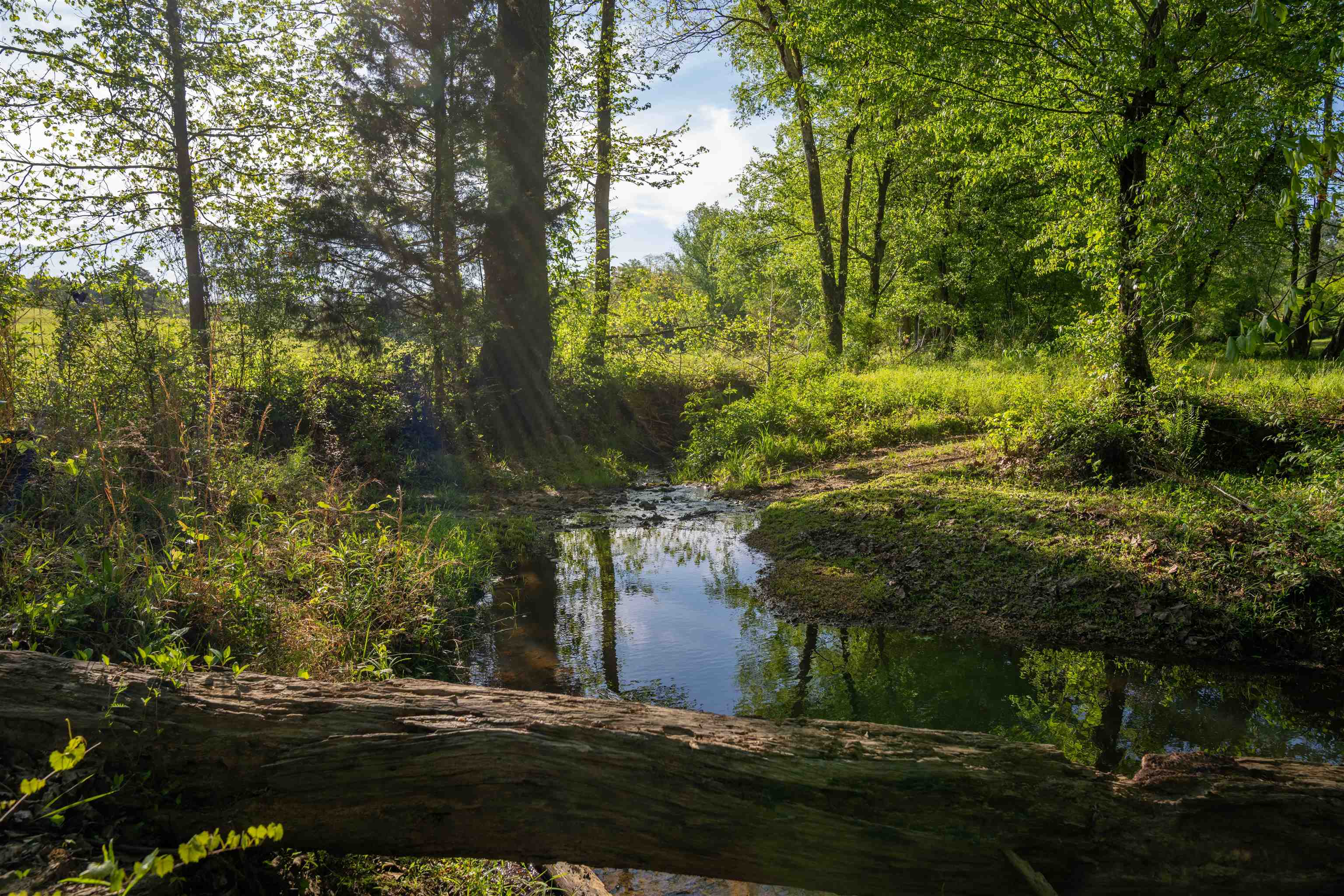 2711 JORDANS MILL RD