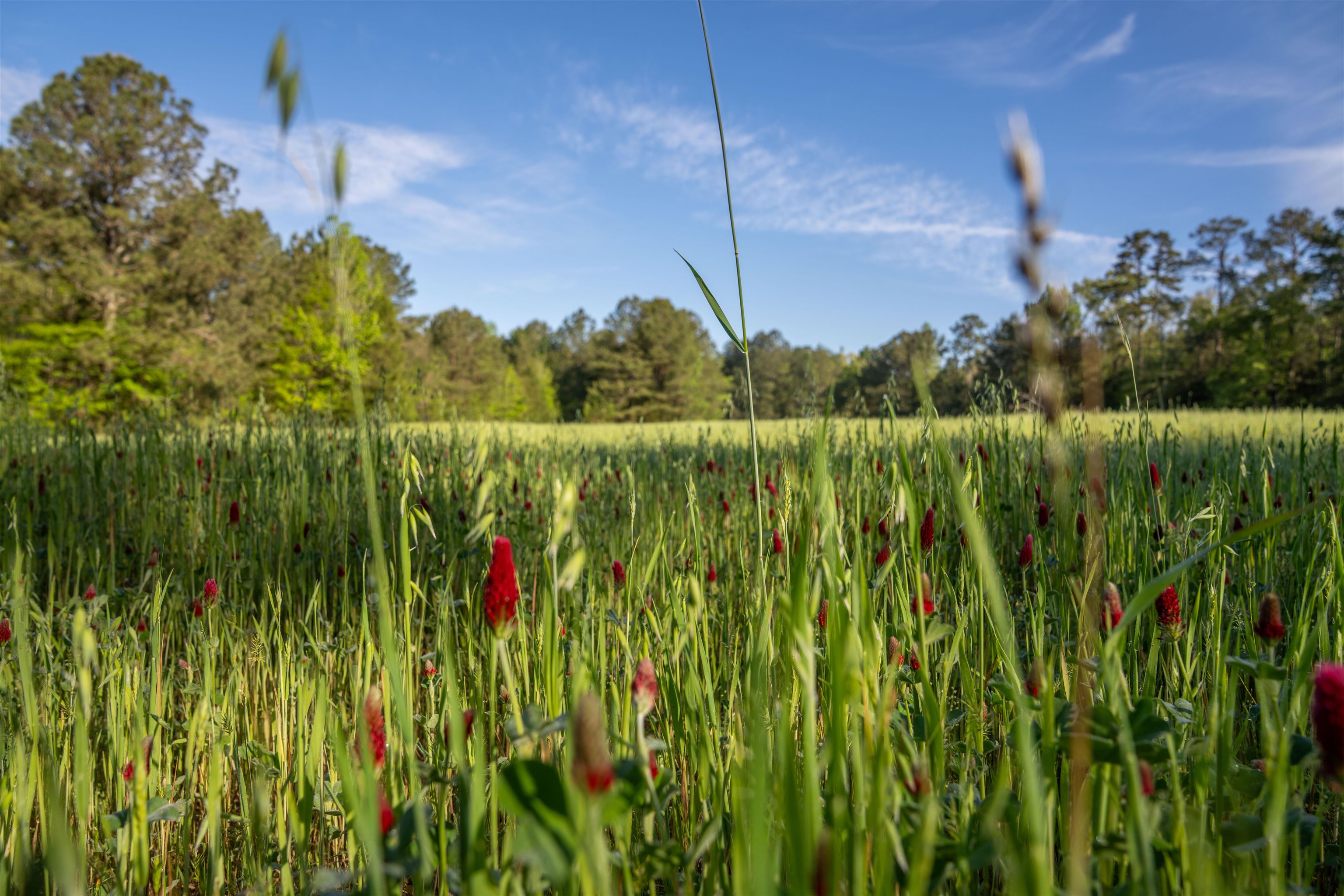 2711 JORDANS MILL RD