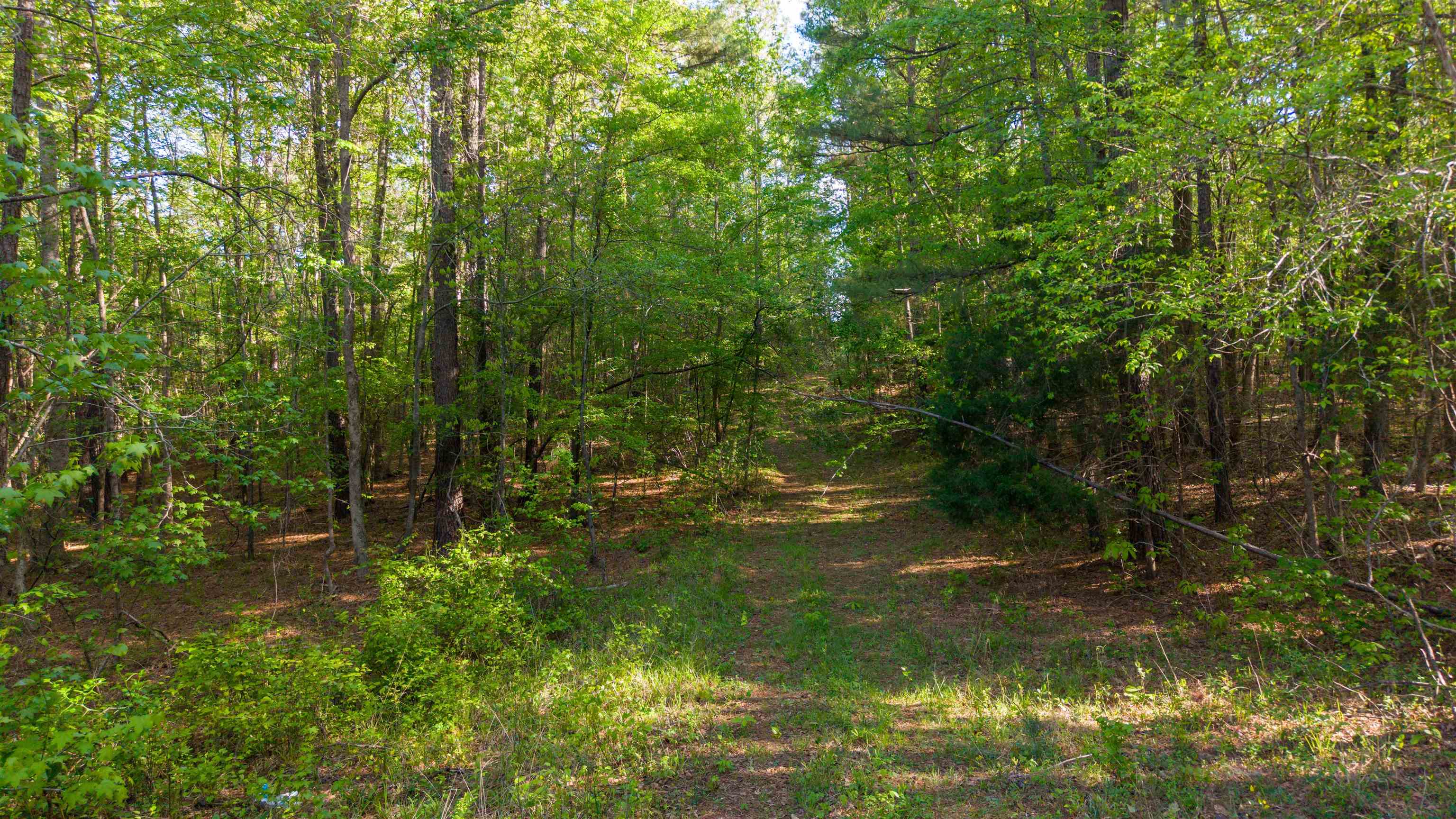 2711 JORDANS MILL RD