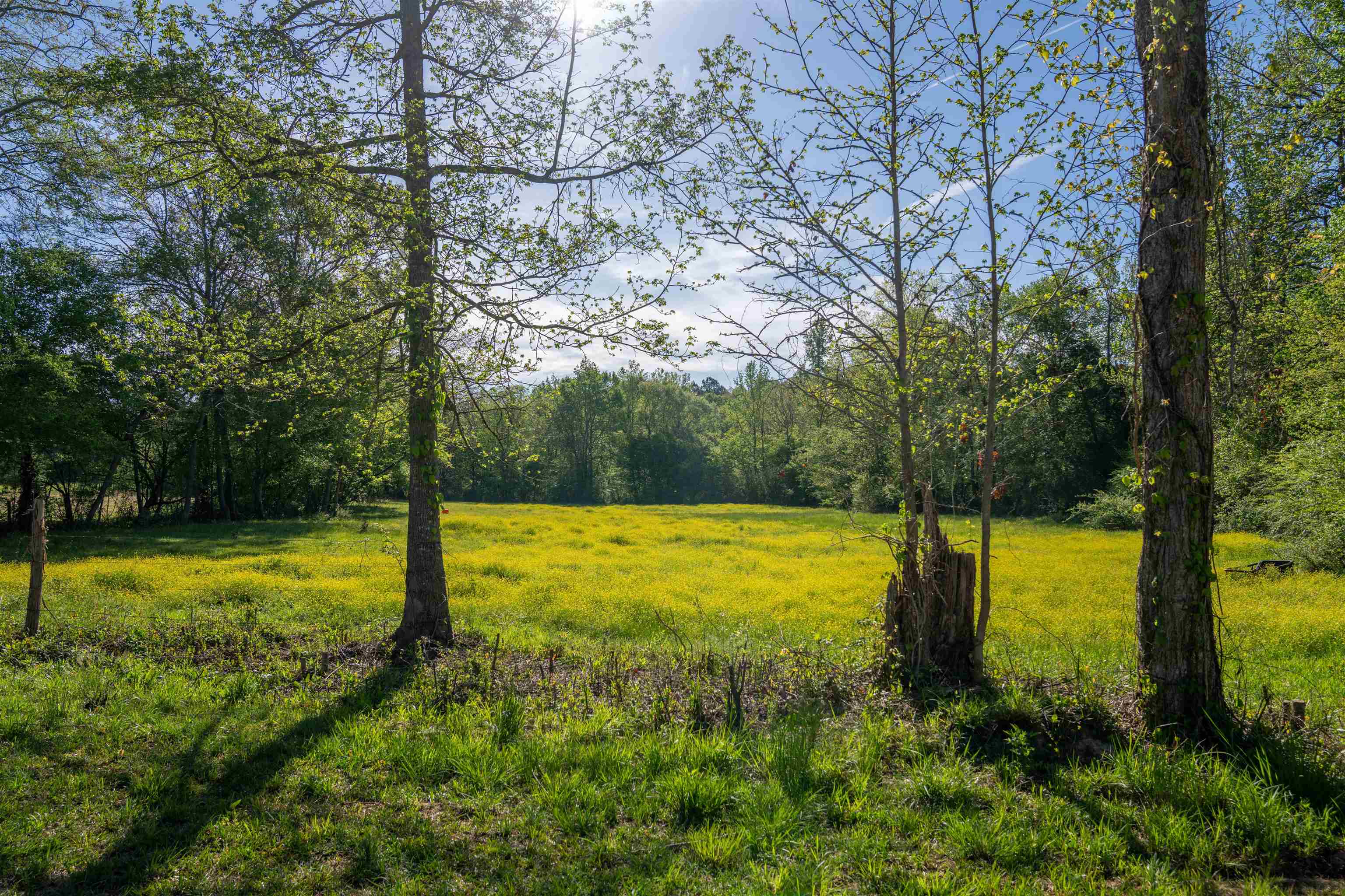 2711 JORDANS MILL RD