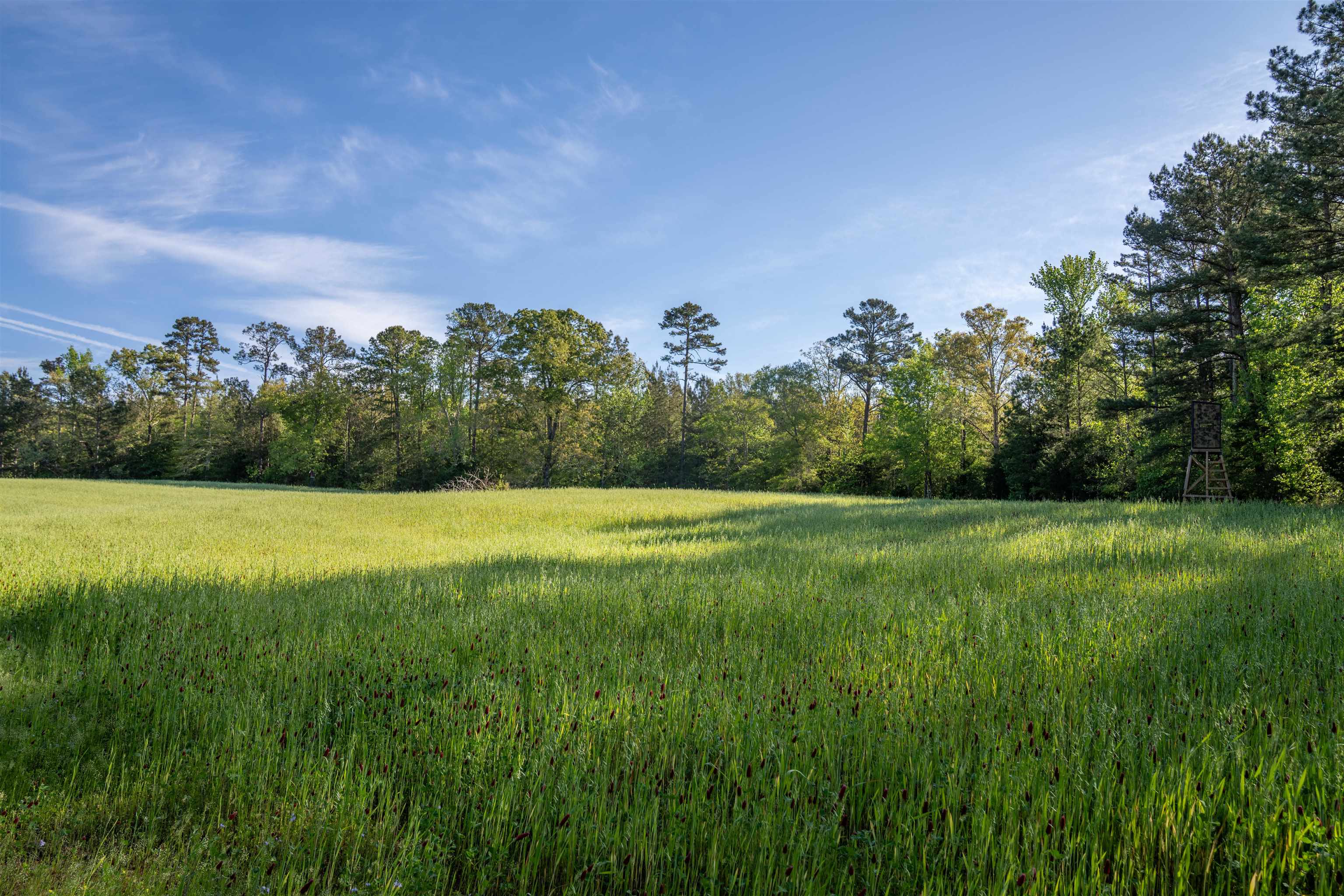 2711 JORDANS MILL RD