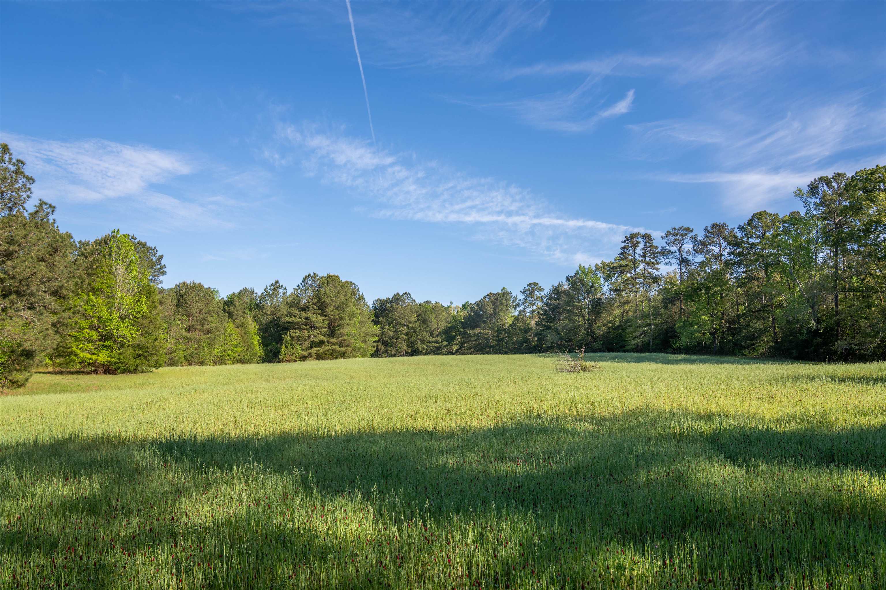 2711 JORDANS MILL RD