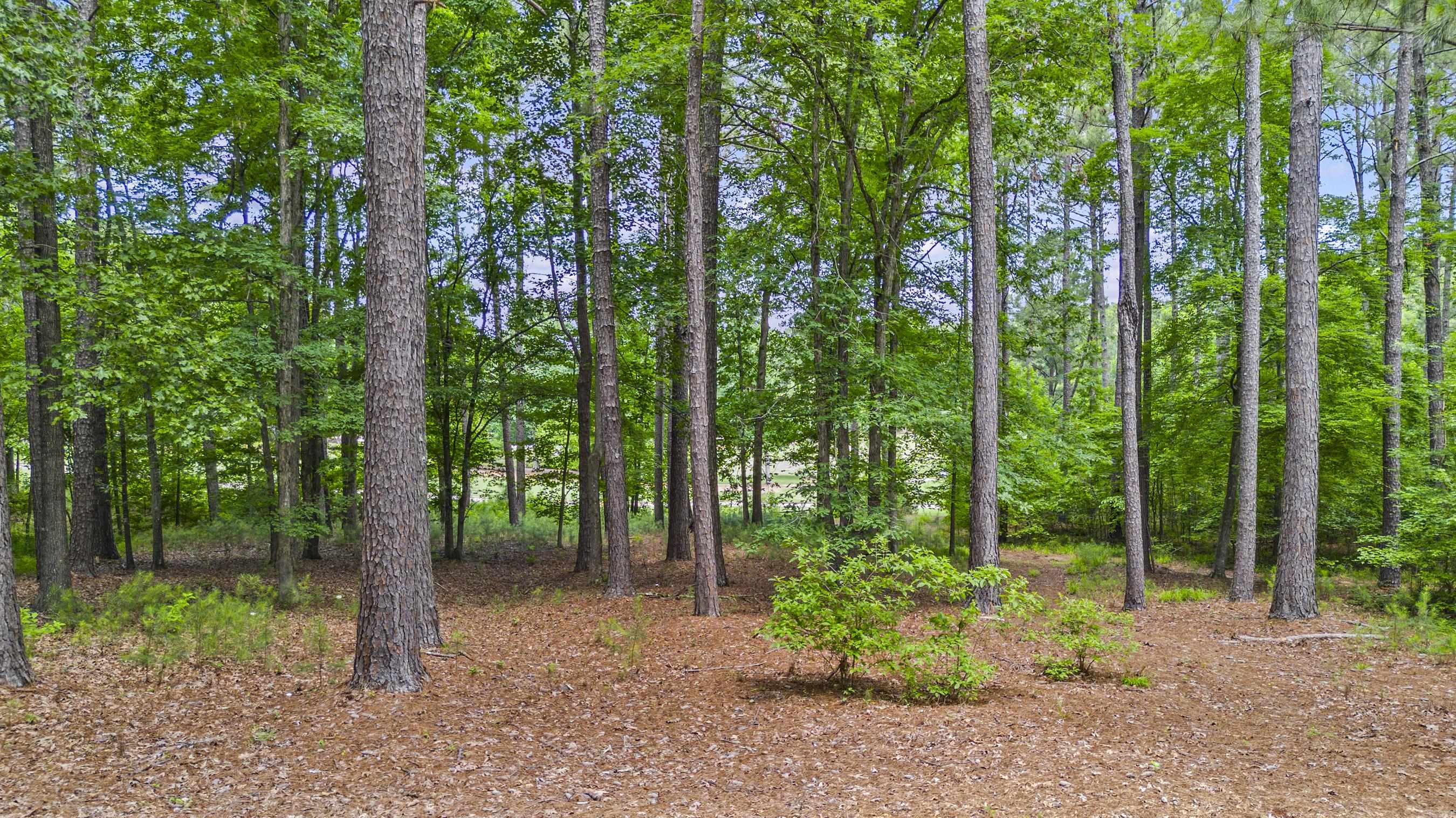 144 HOPETON LANE # 12