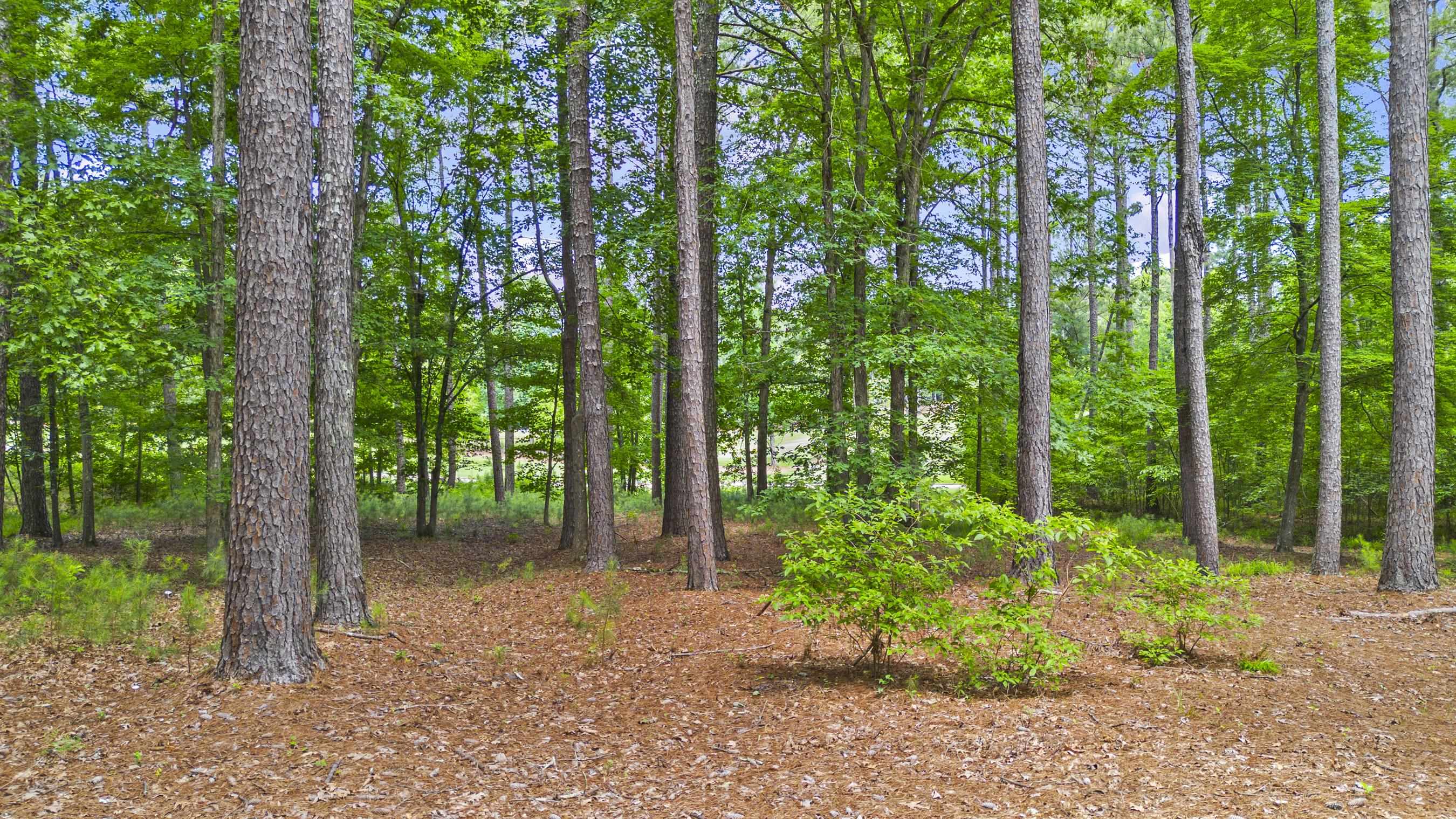 144 HOPETON LANE # 12