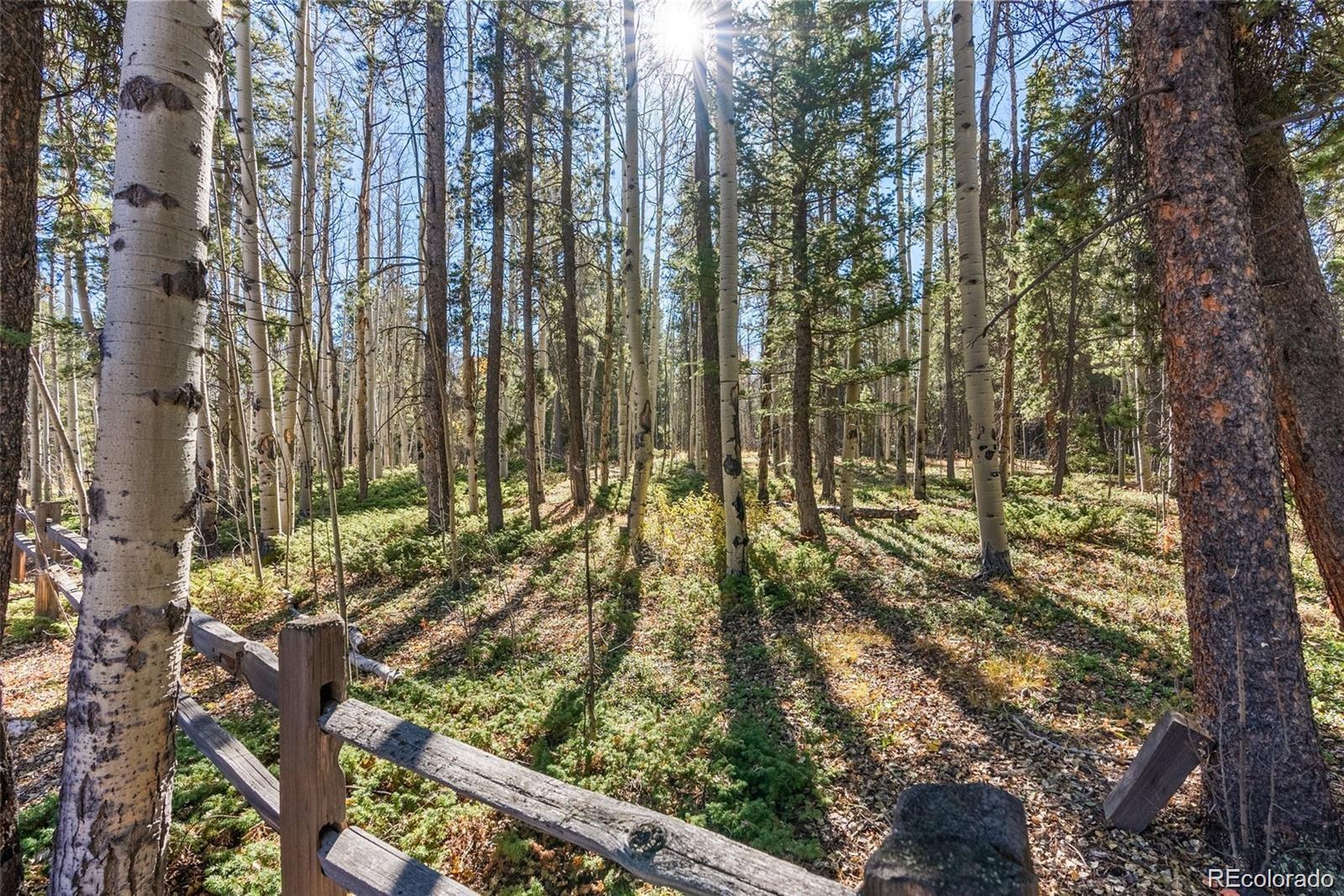591 Creekwood Trail