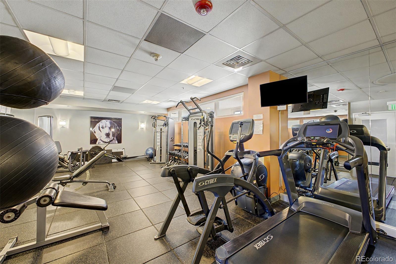 410 Acoma Street Unit: 305