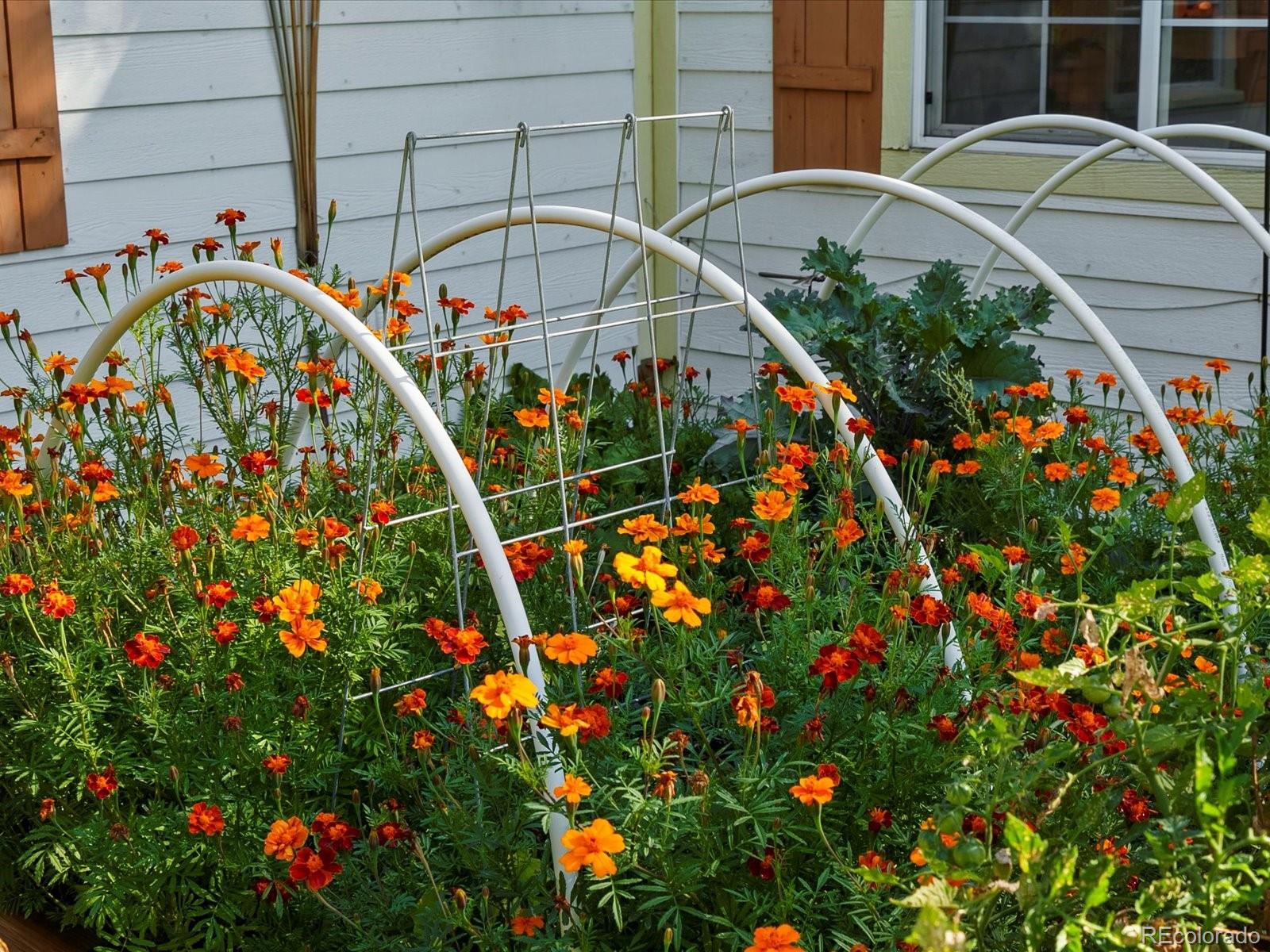 16 Lakewood Heights Drive