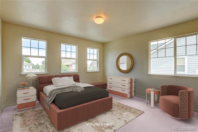 10594 Wildhorse Lane