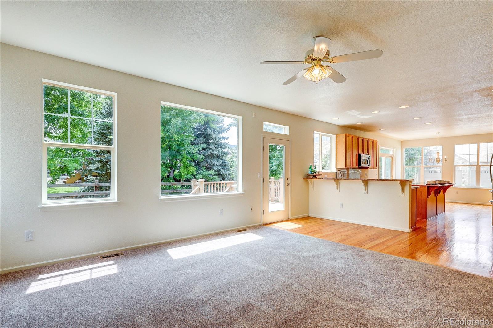 10594 Wildhorse Lane