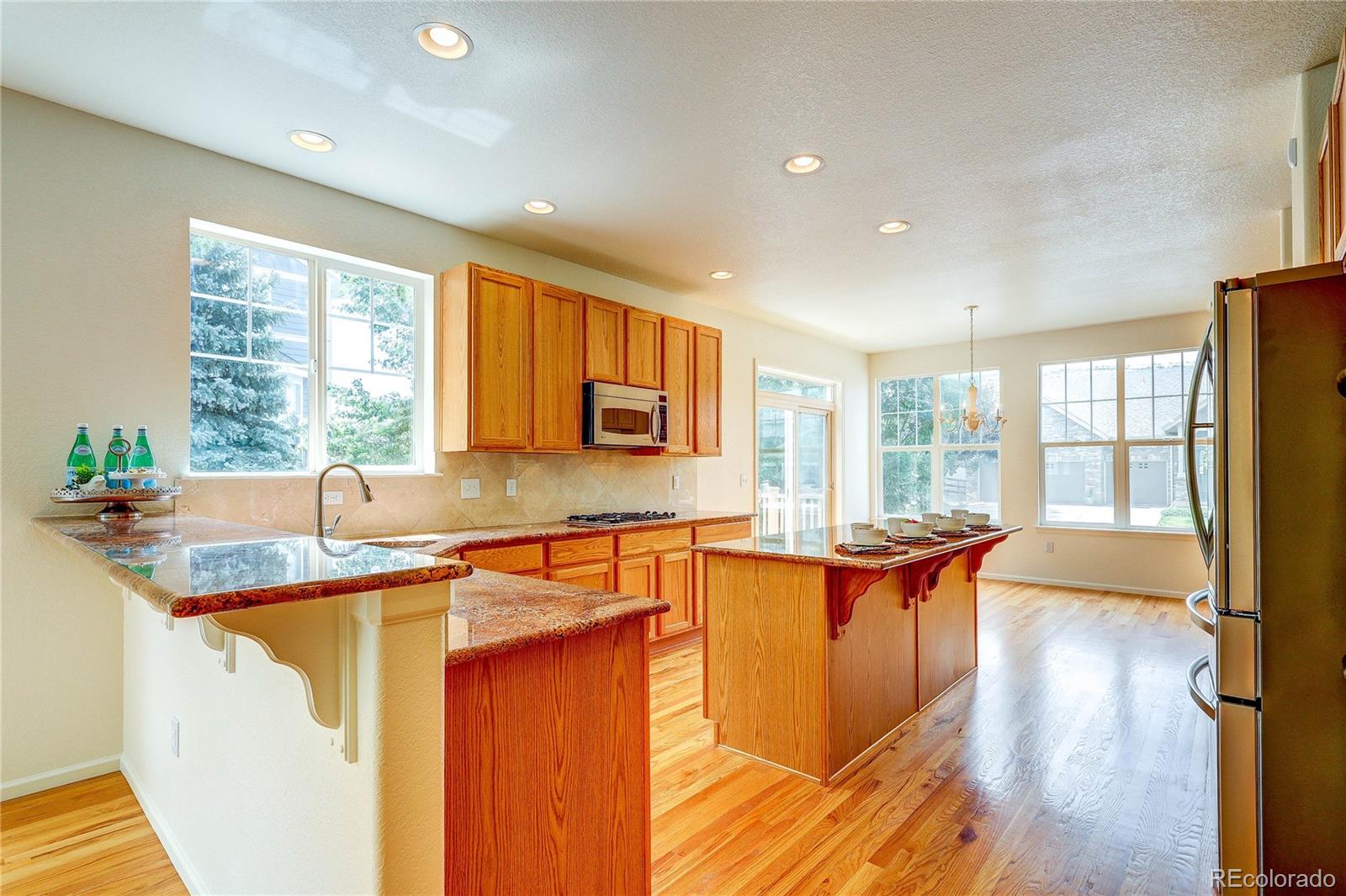 10594 Wildhorse Lane