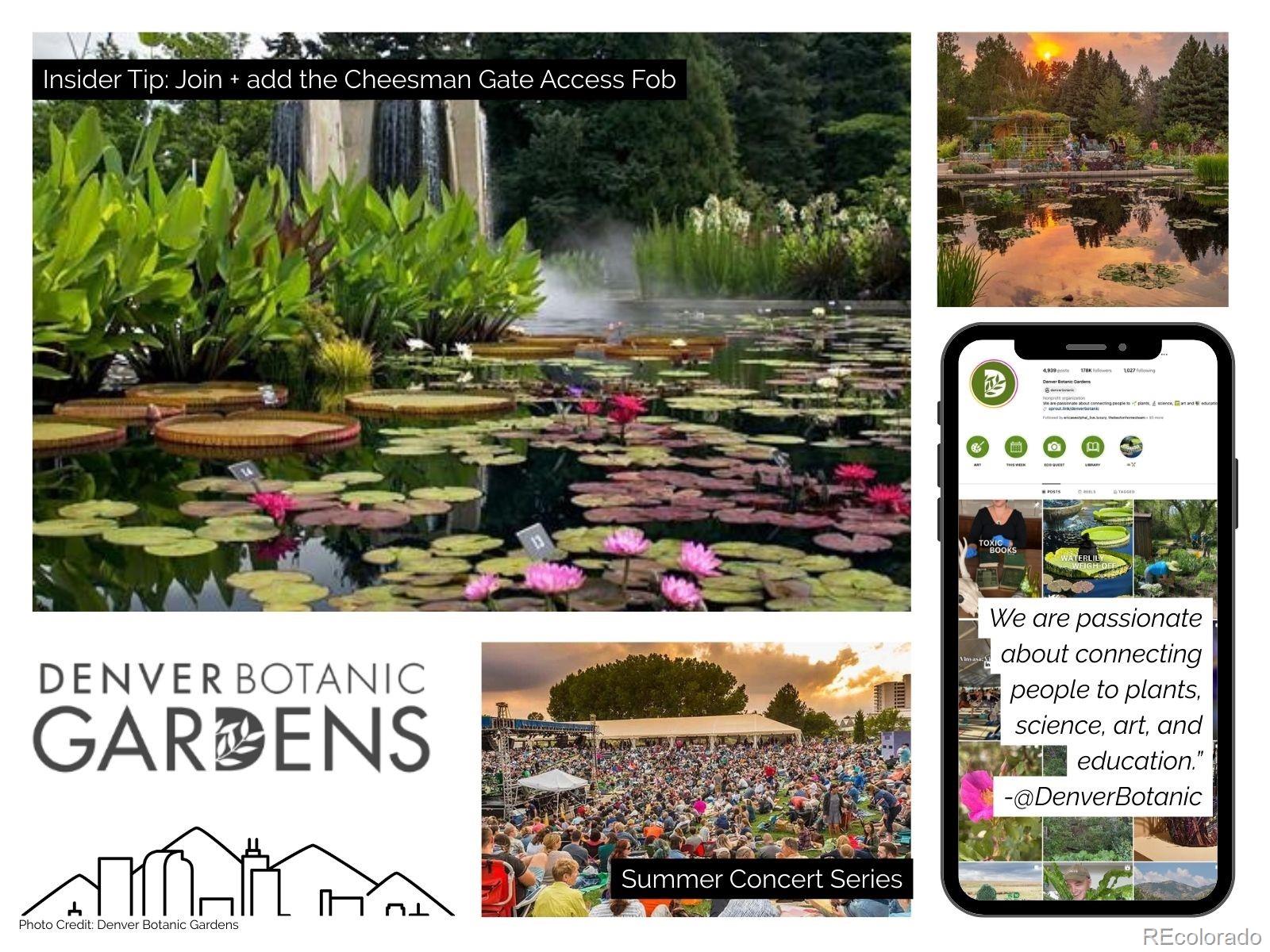 1313 N Williams Street Unit: 503