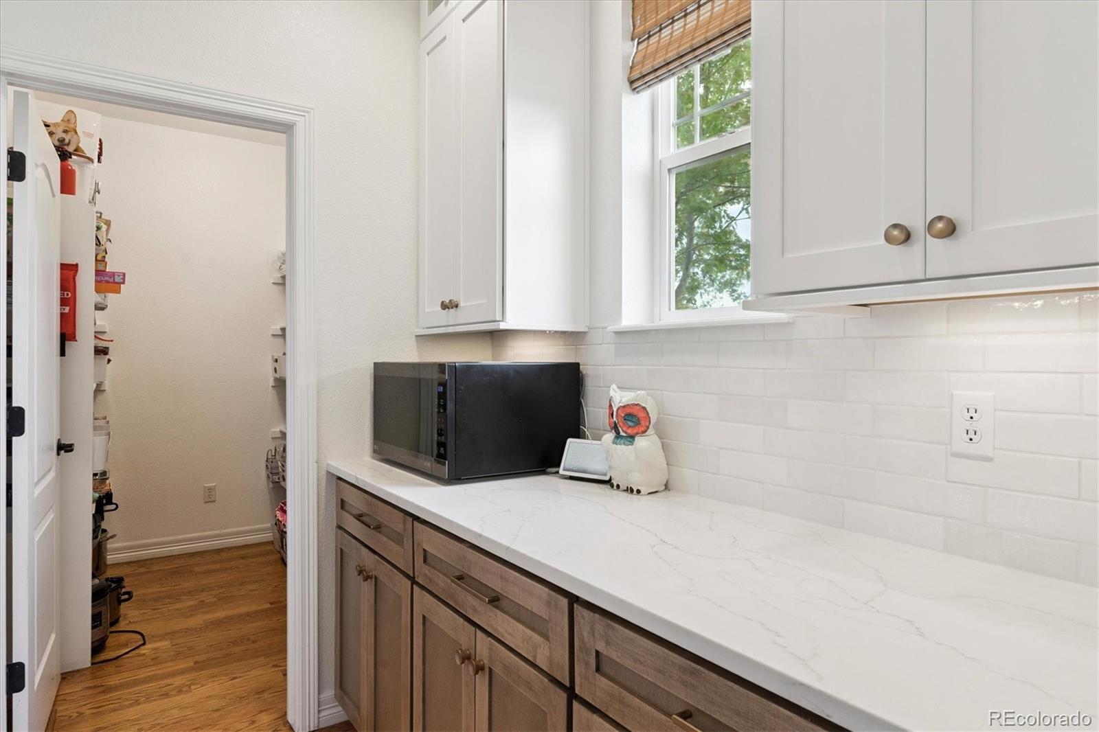 2664 Red Hawk Ridge Drive