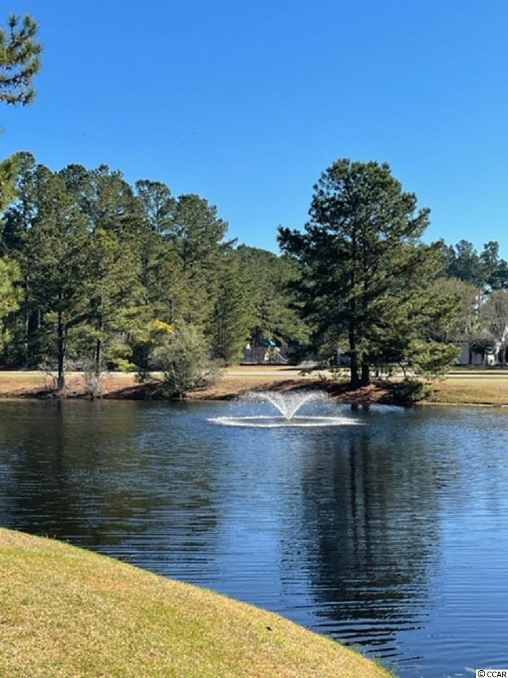 4910 Windsor Green Way Unit: 4910-303