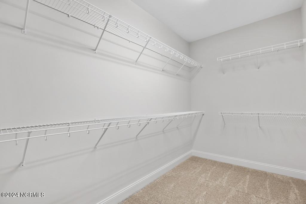 558 White Shoal Way