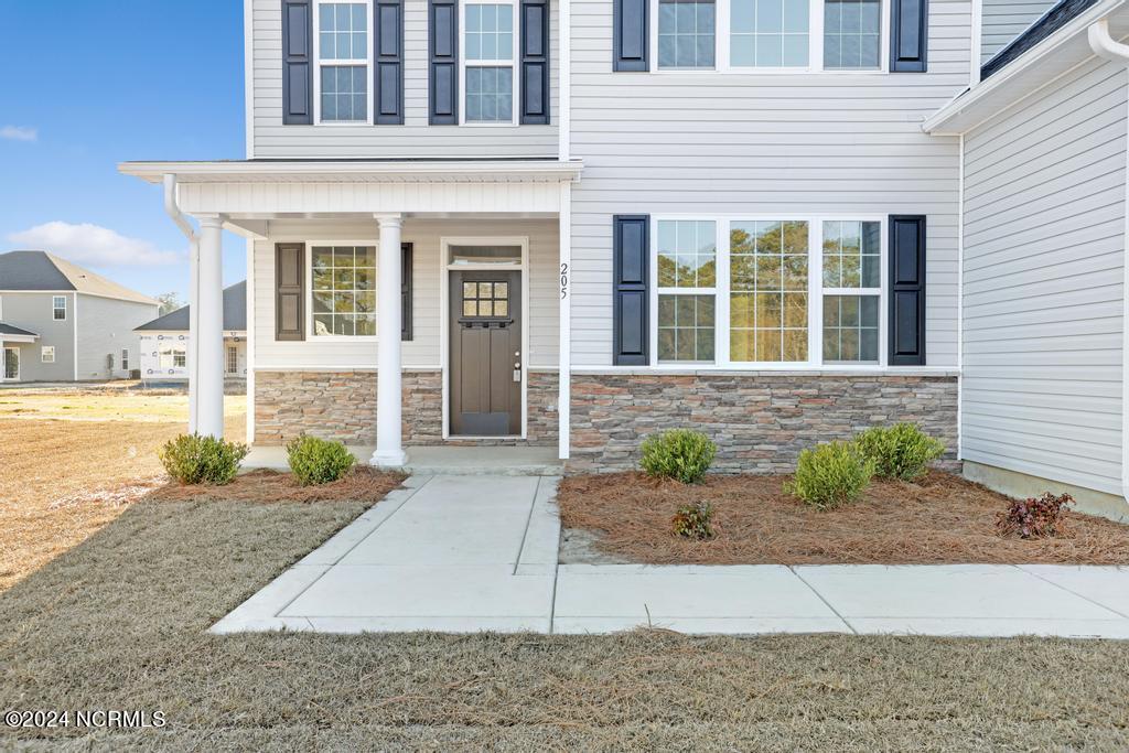 205 Lookout Lane