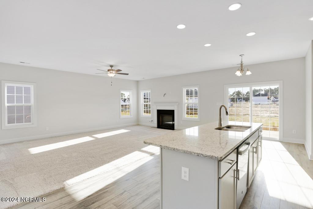 205 Lookout Lane