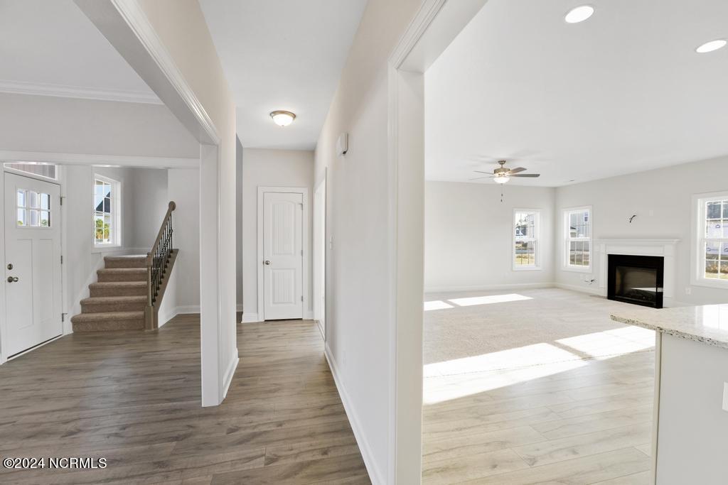 205 Lookout Lane