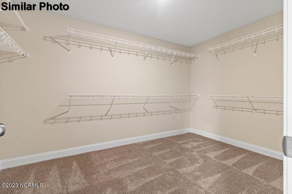 521 E Black Water Lane