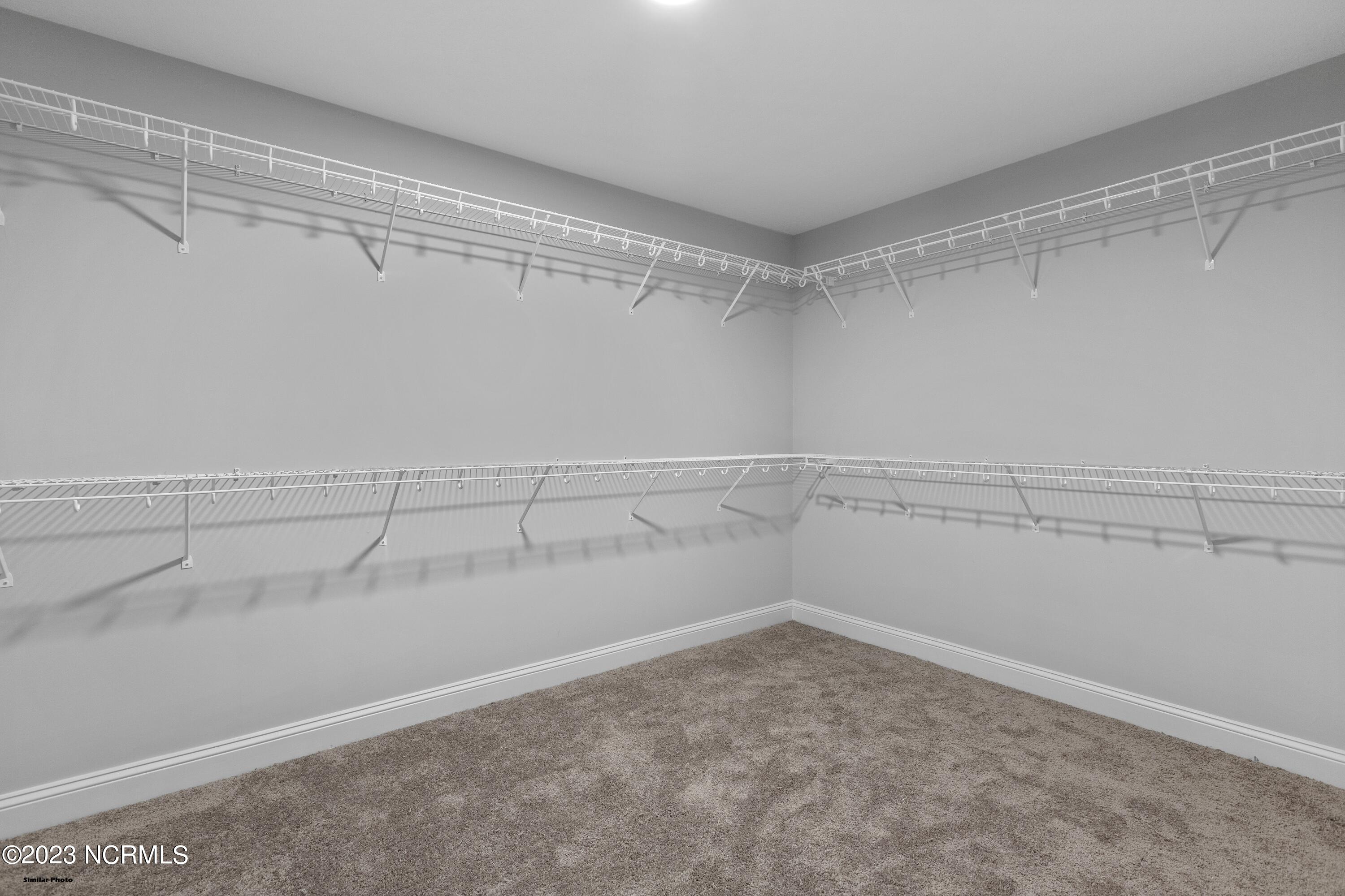 613 Turkey Trot Trail