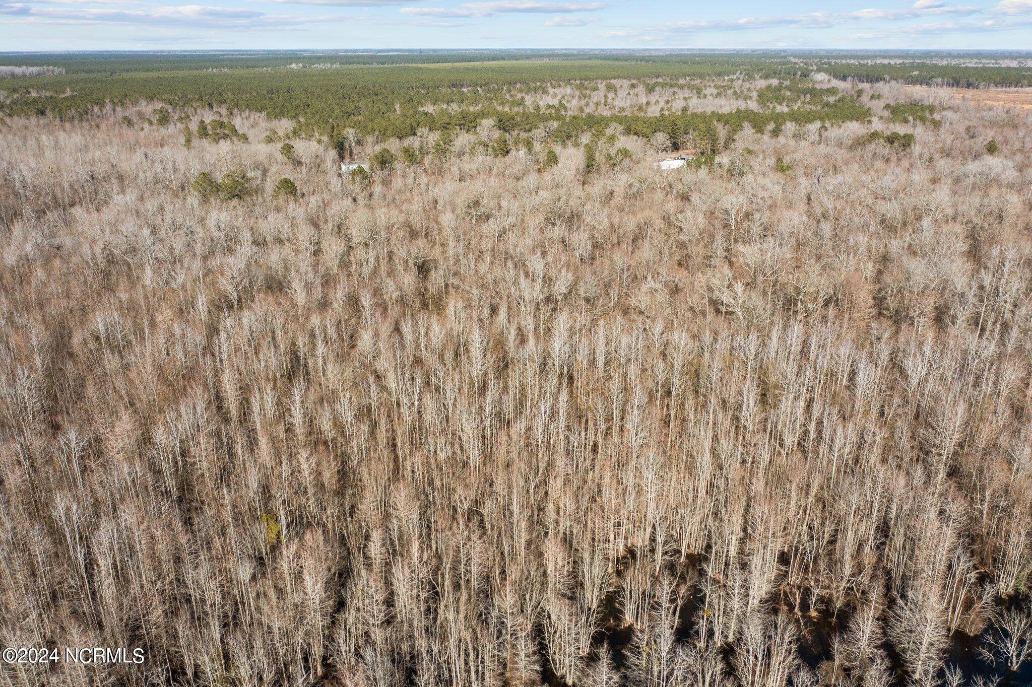 6365 White Oak River Road