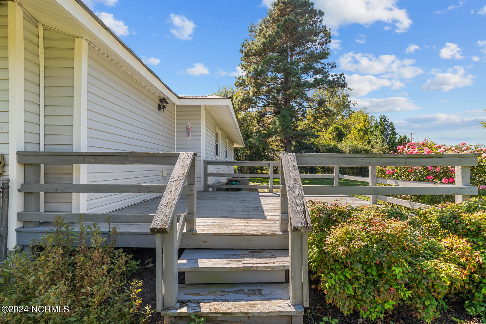 3 Batchelors Trail