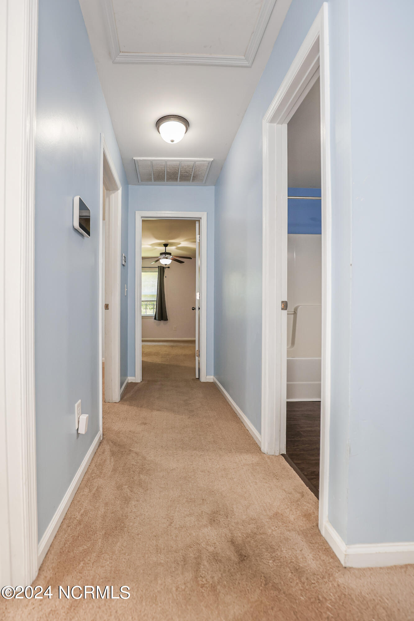205 Ivy Glen Lane