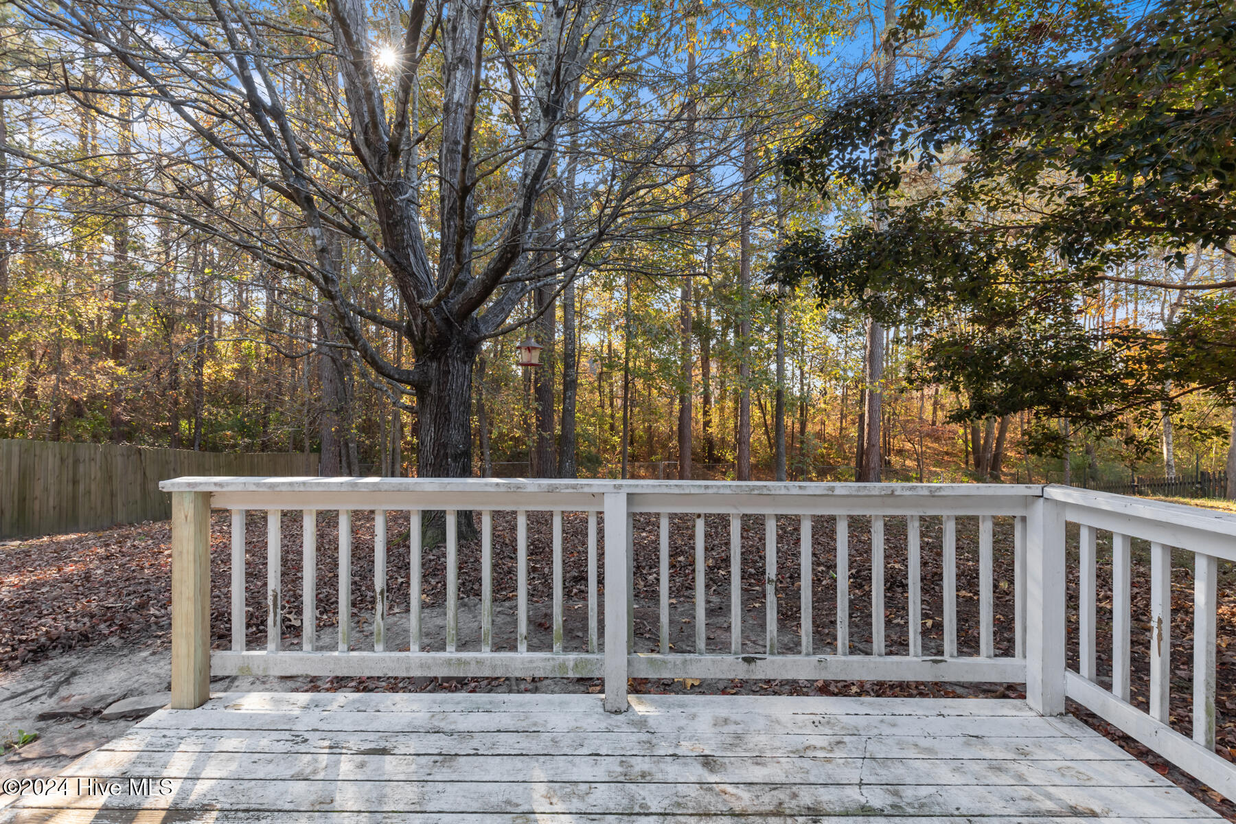 105 Yellowwood Drive