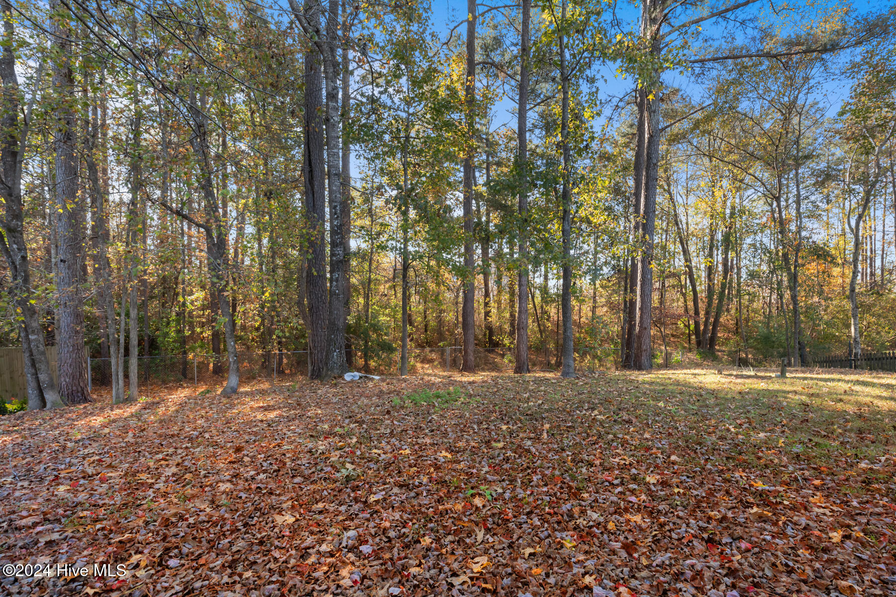 105 Yellowwood Drive