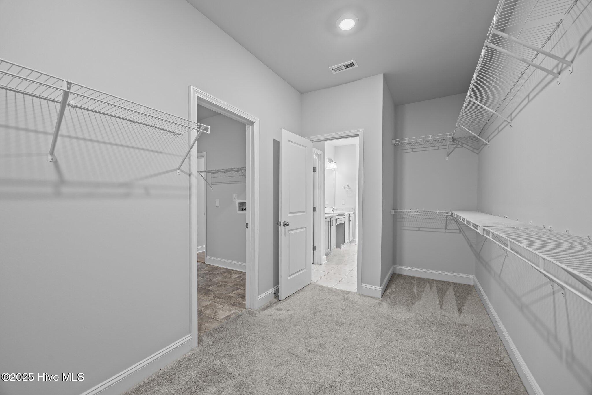 260 E Red Head Circle