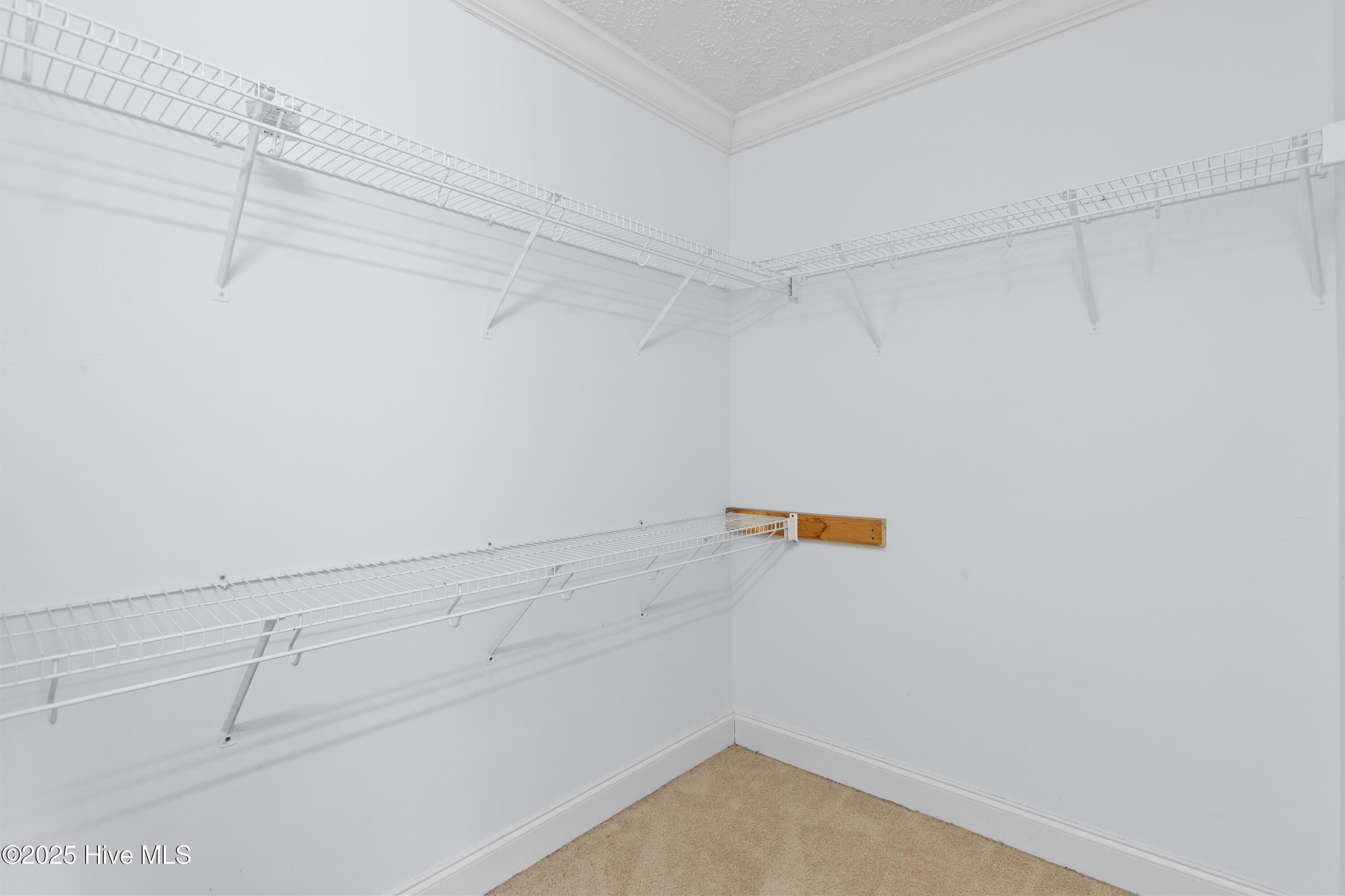 2624 Belgrade Swansboro Road