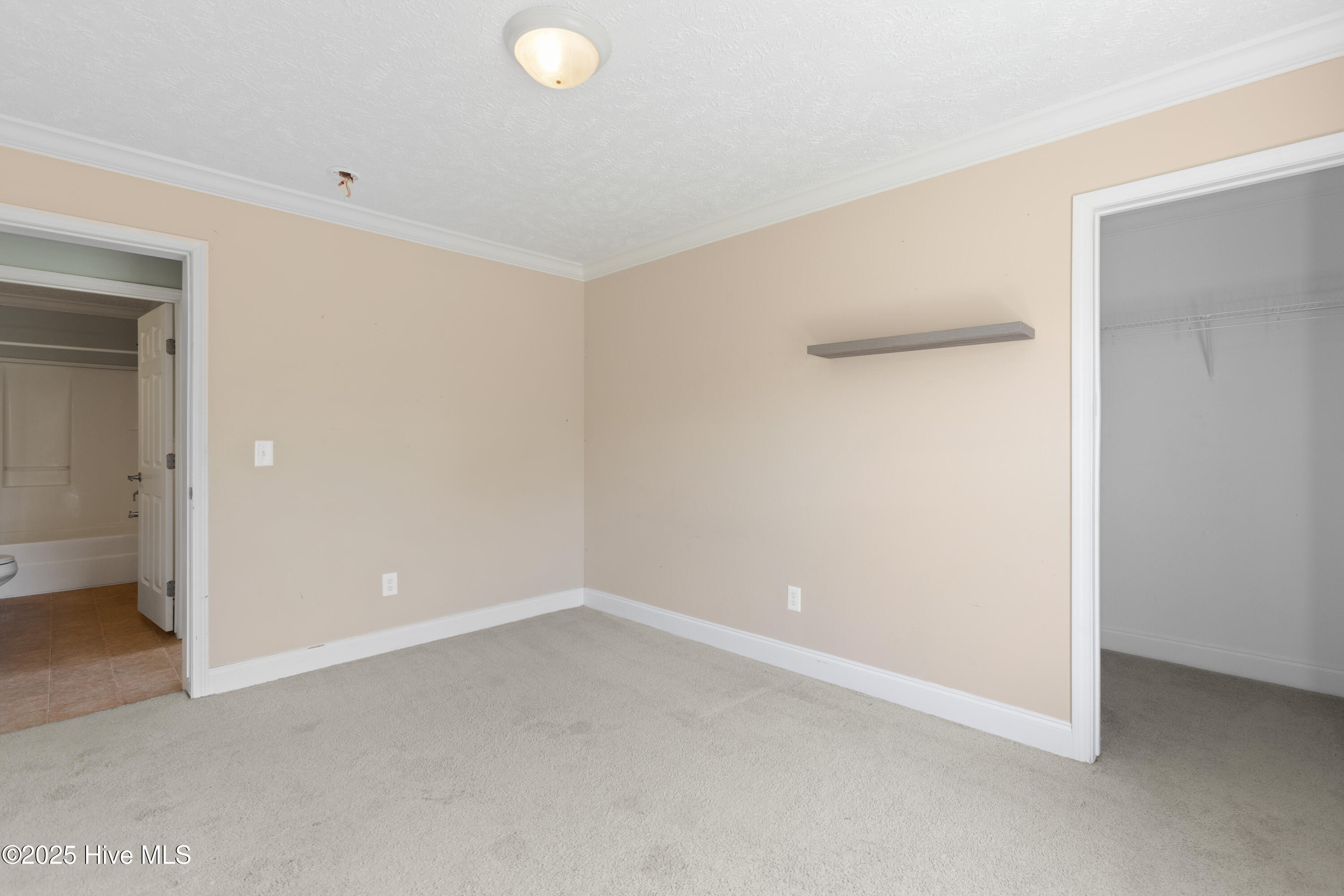 2624 Belgrade Swansboro Road