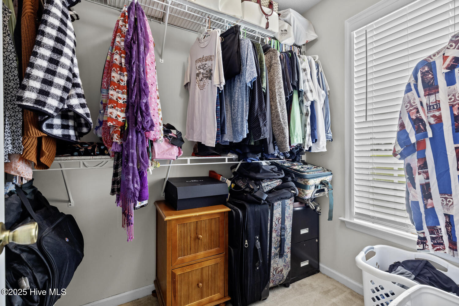 107 Camellia Creek Drive