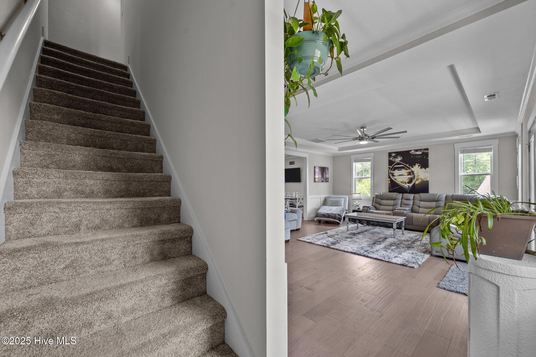 101 Lyall Lane