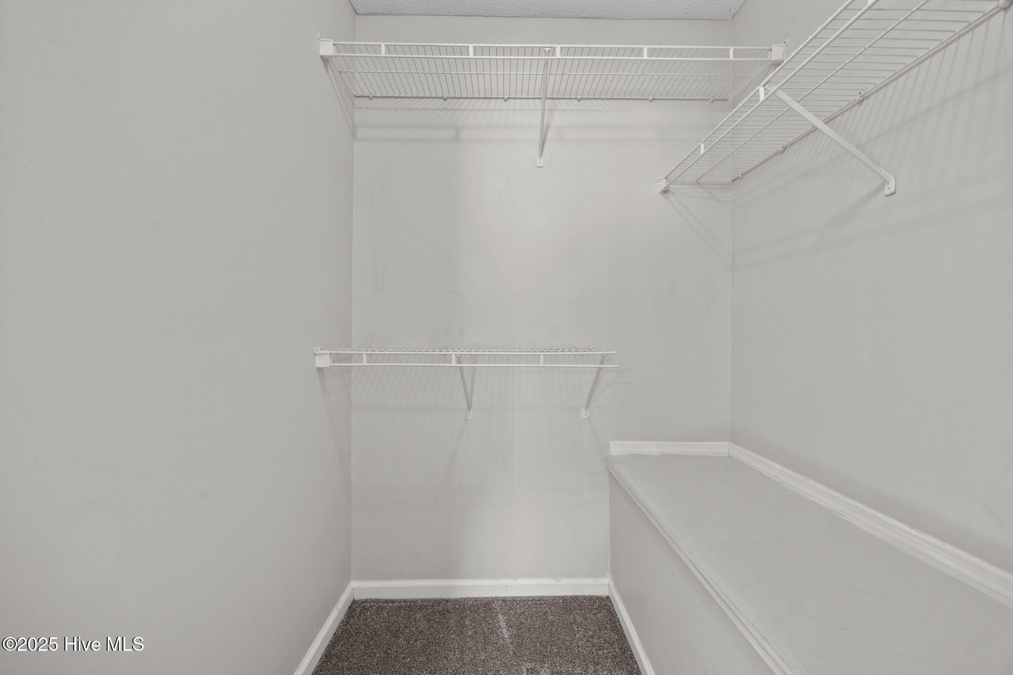 217 Winners Circle S