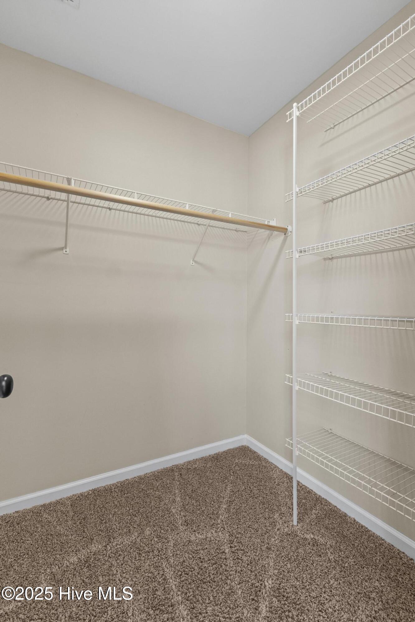 132 Azalea Plantation Boulevard