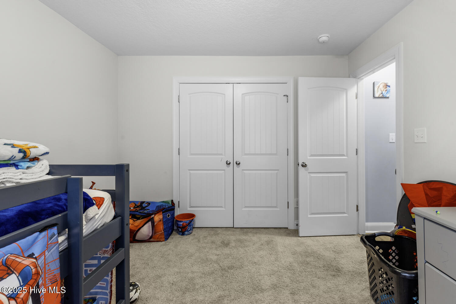 384 Water Wagon Trail