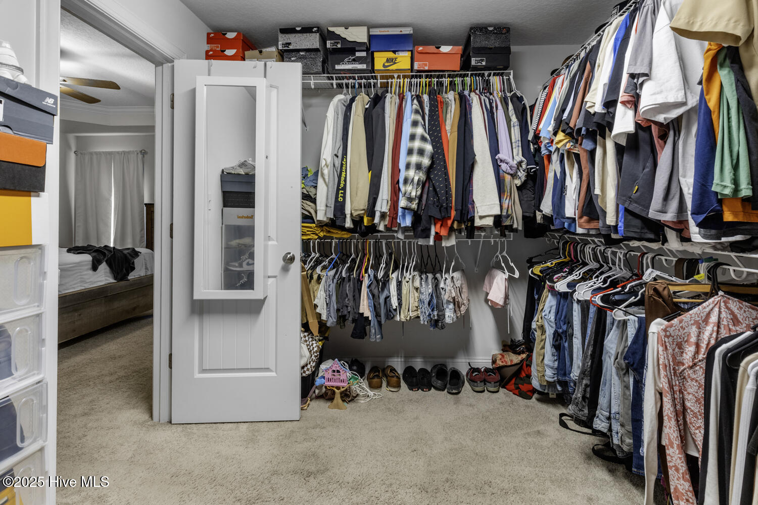 384 Water Wagon Trail