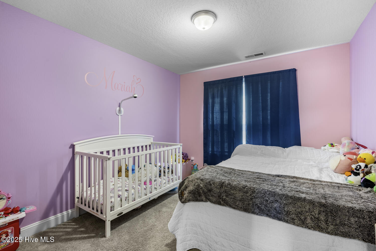 384 Water Wagon Trail