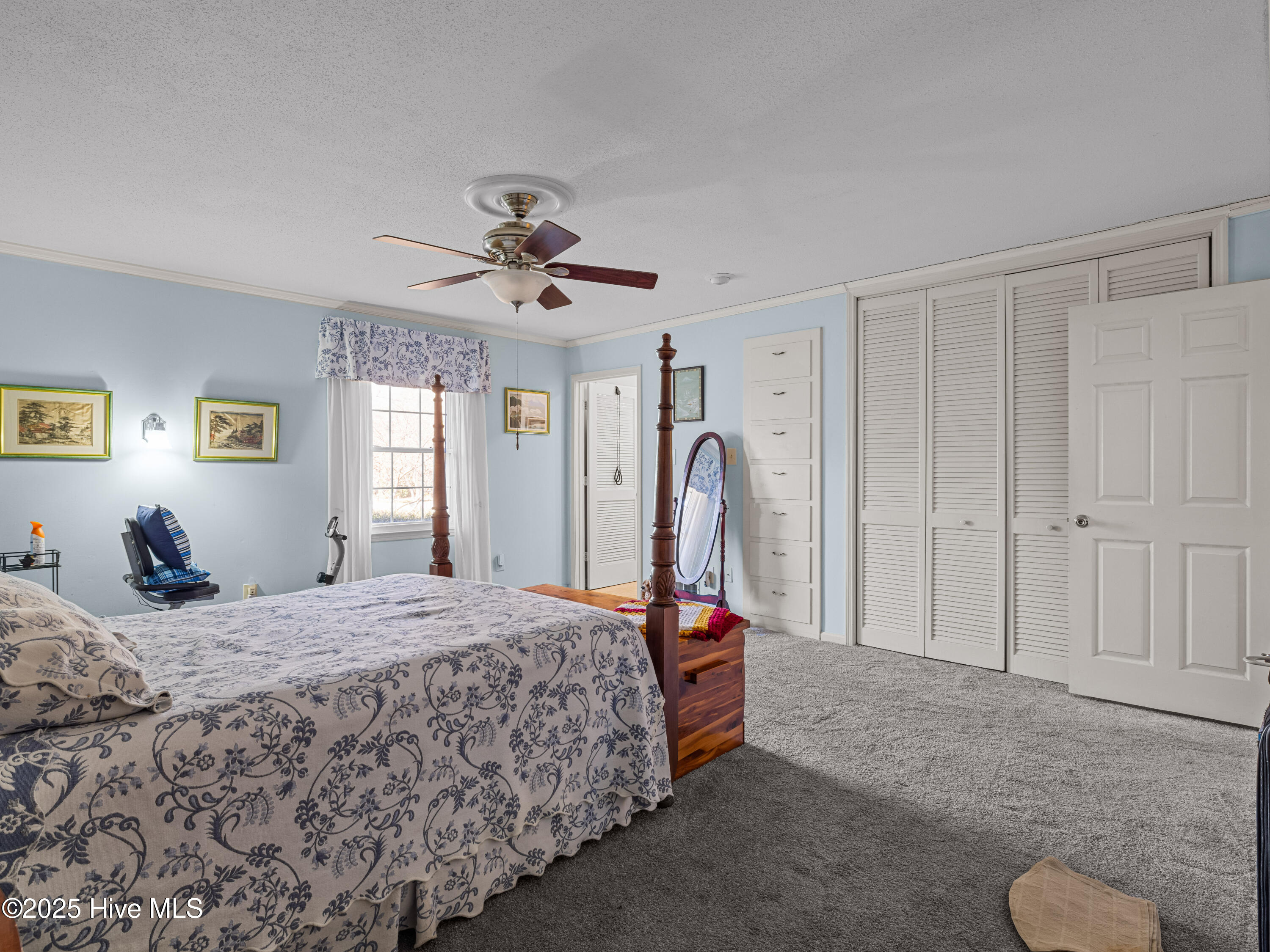 6101 Albatross Drive