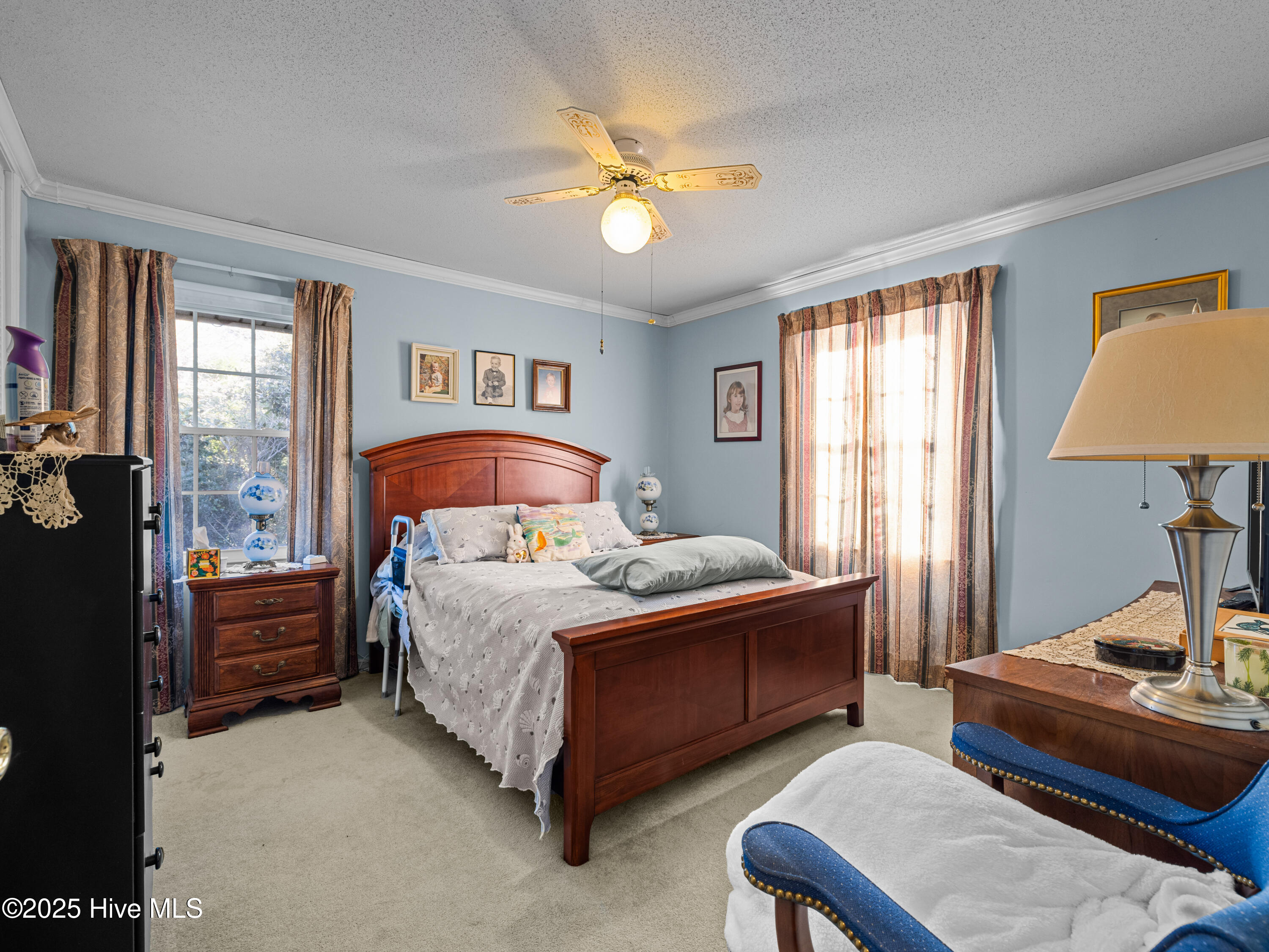 6101 Albatross Drive