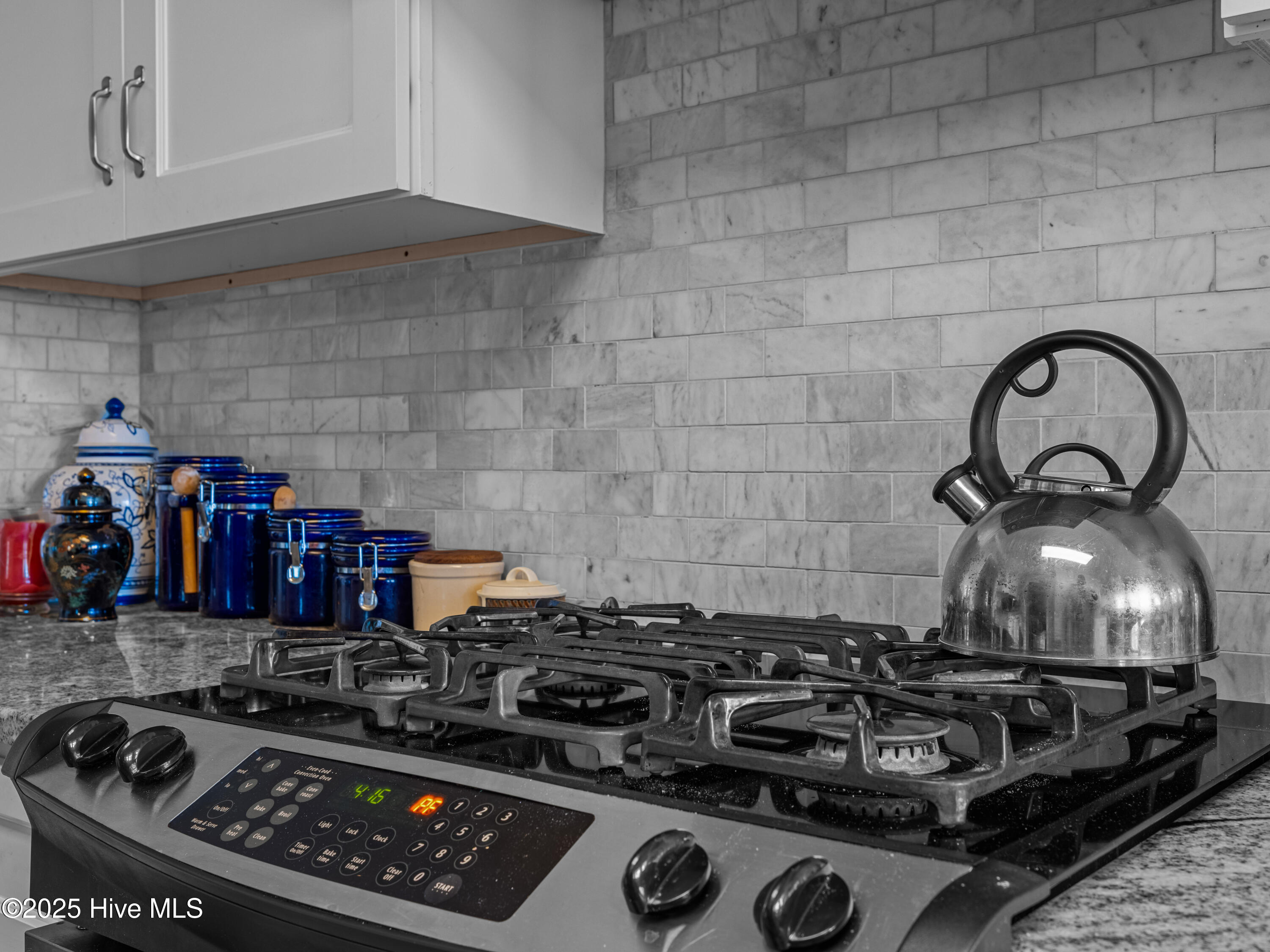 6101 Albatross Drive