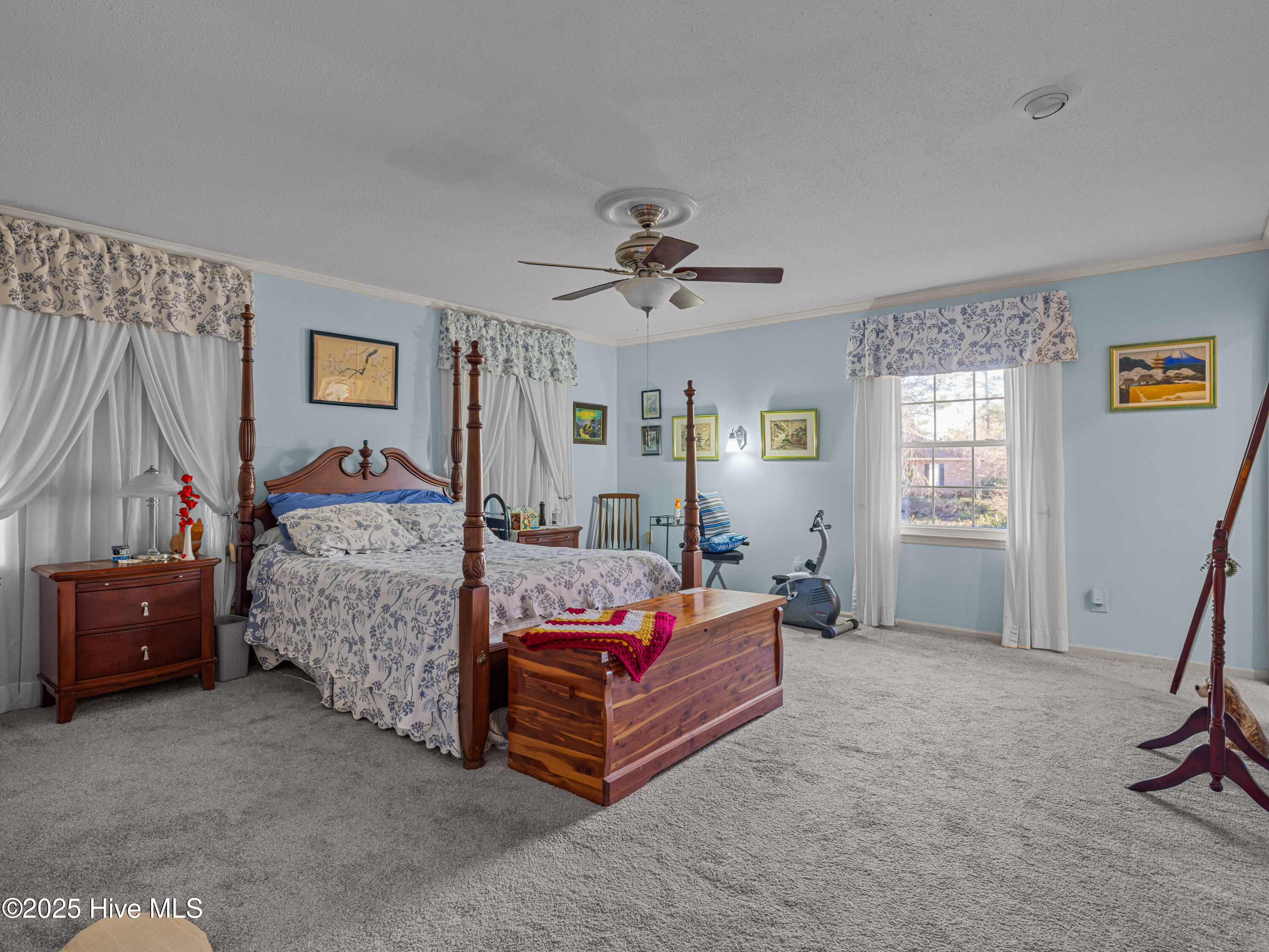 6101 Albatross Drive