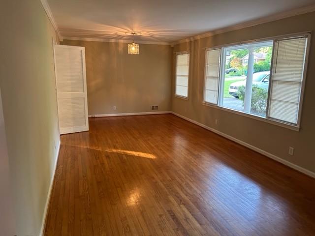 1259 Renee Drive