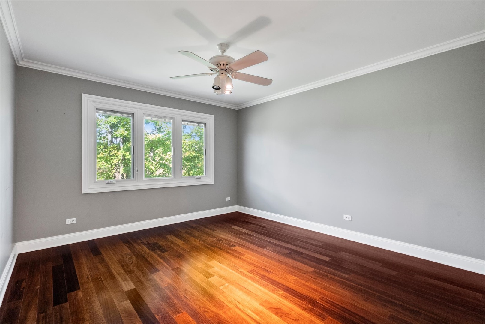 446 Meadows Edge Lane