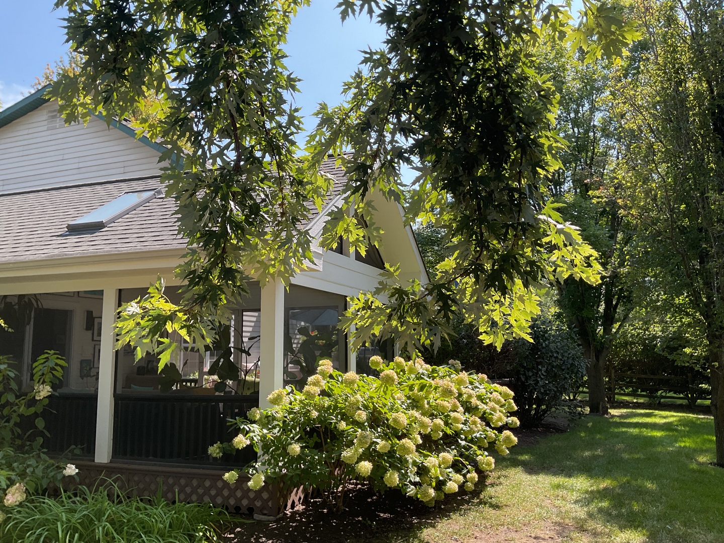 1437 Pinetree Drive